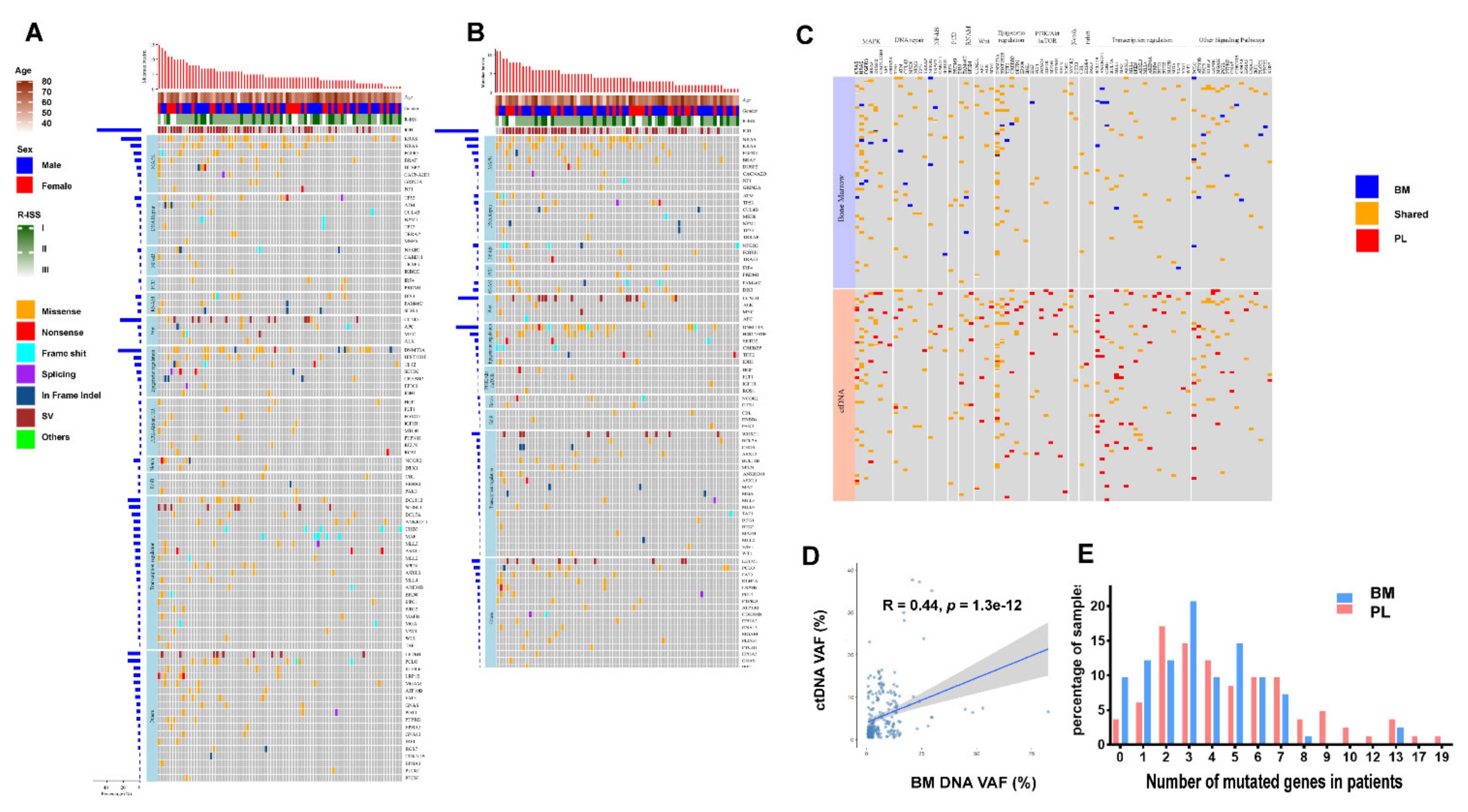 Cancers 14 04914 g001