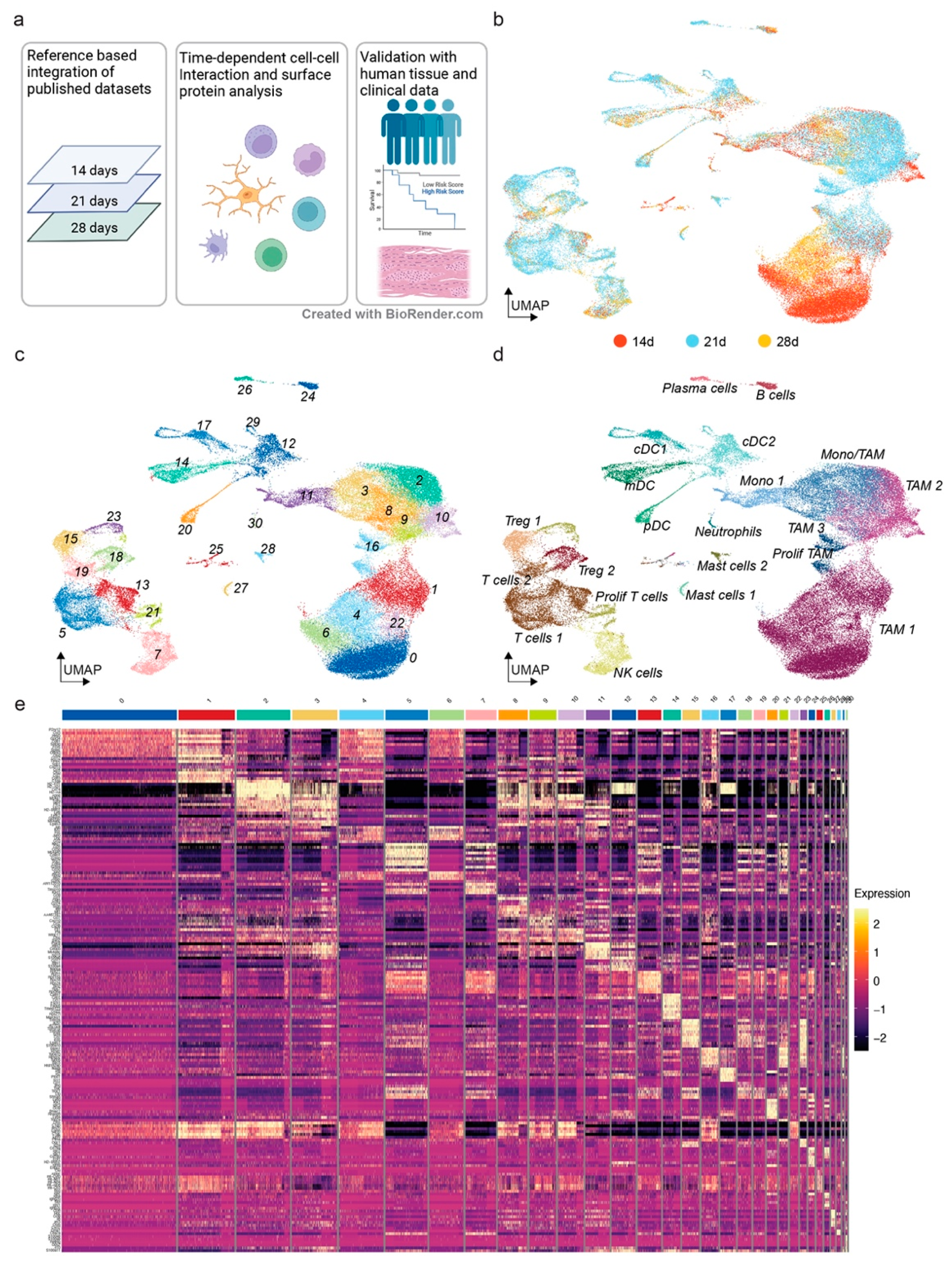 Cancers 14 04915 g001