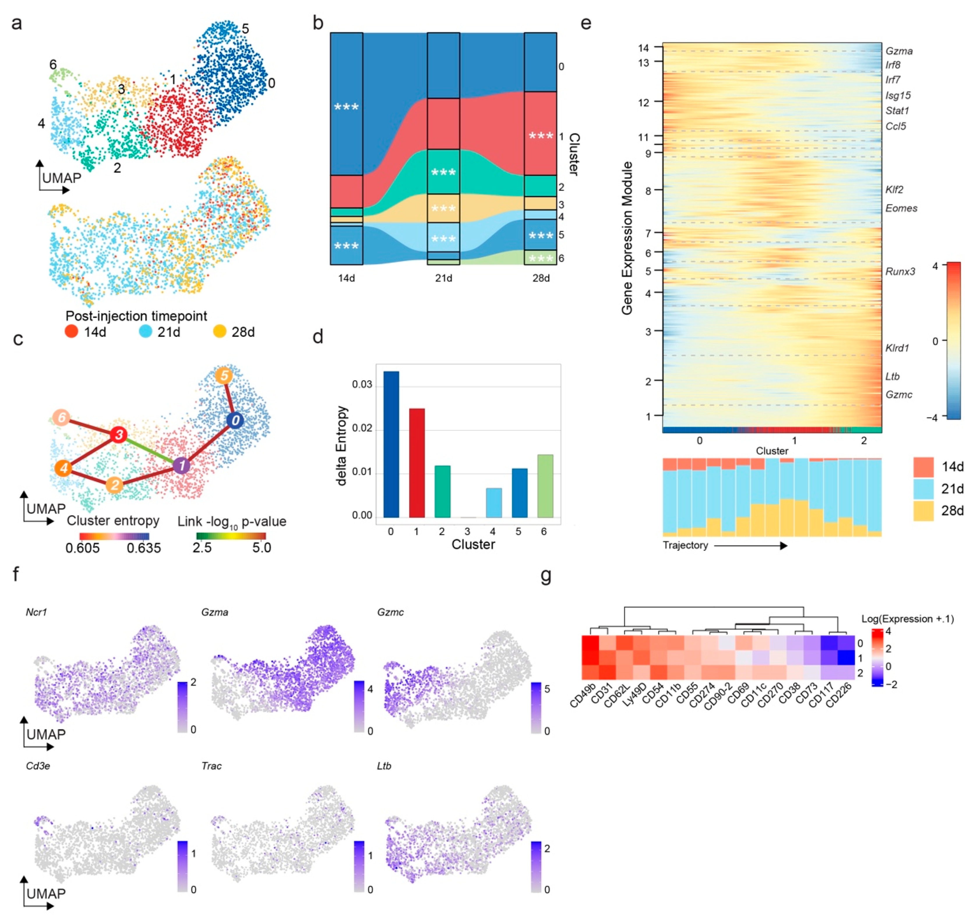 Cancers 14 04915 g003
