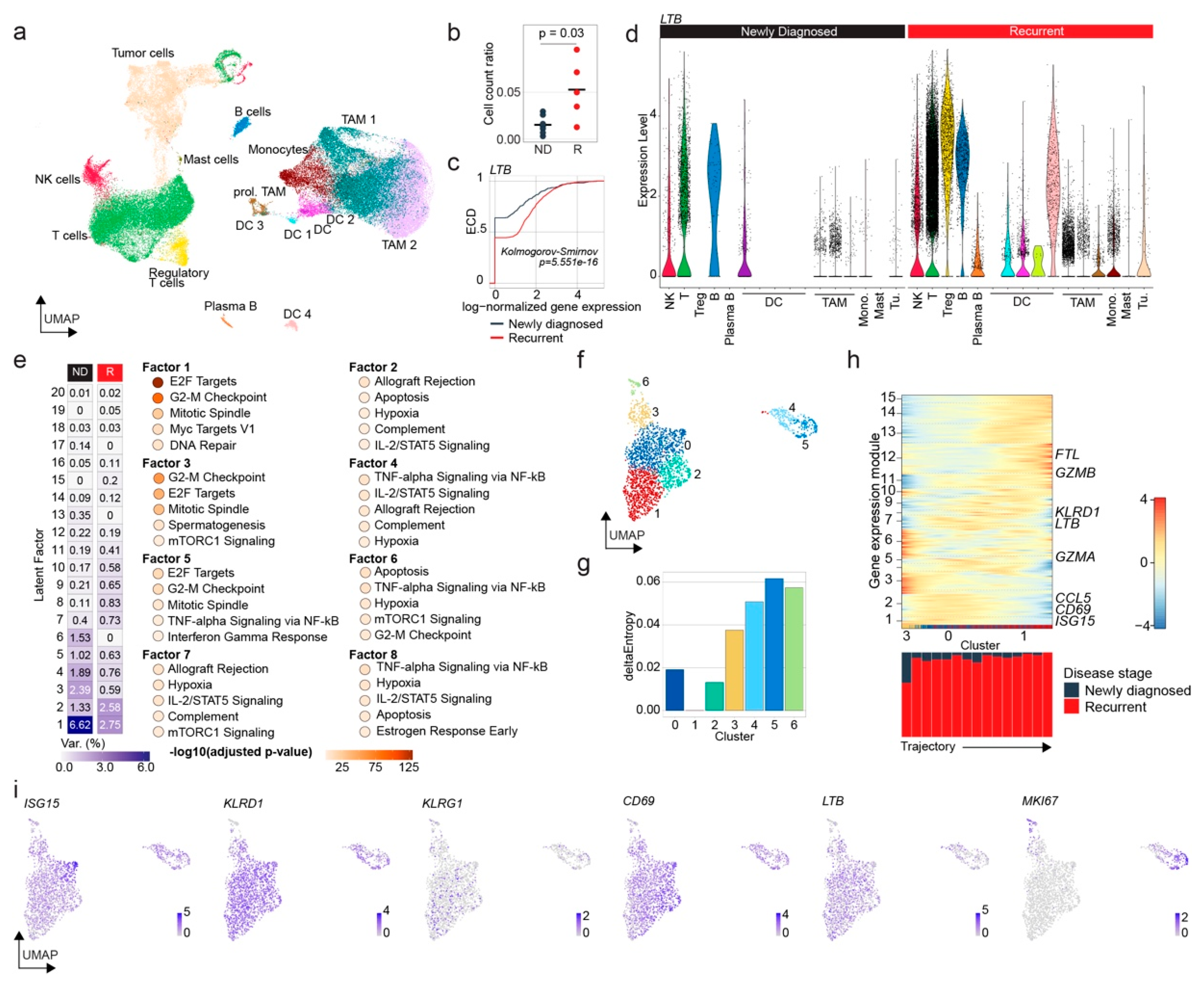 Cancers 14 04915 g004