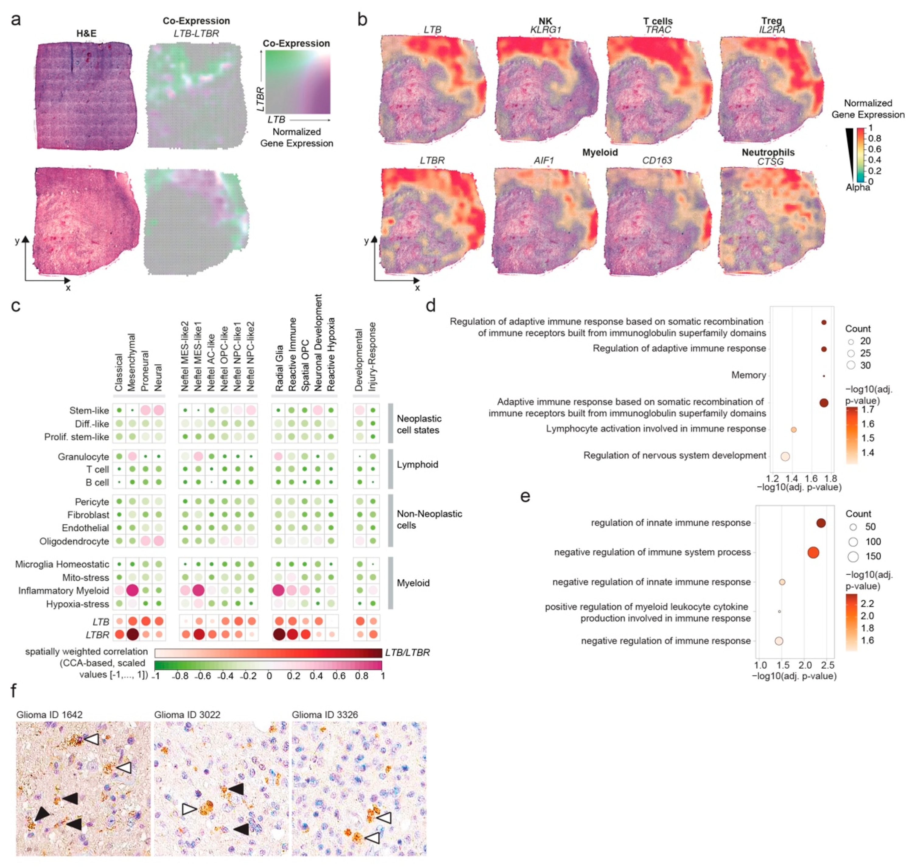Cancers 14 04915 g005
