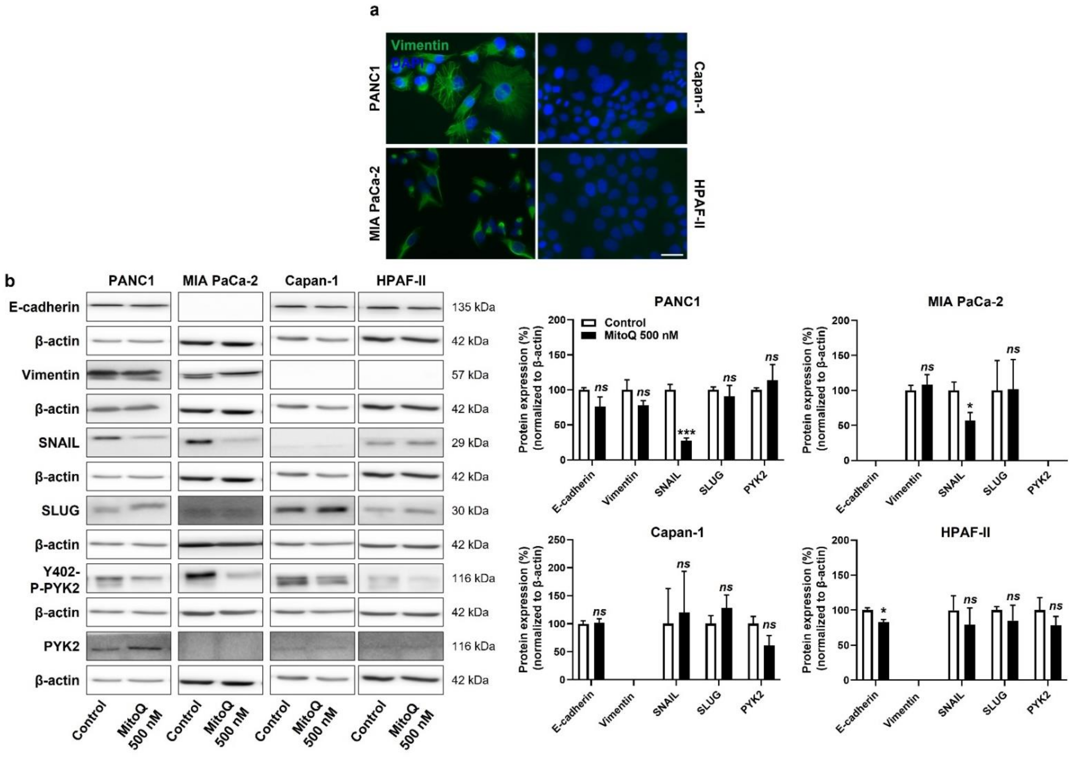 Cancers 14 04918 g005