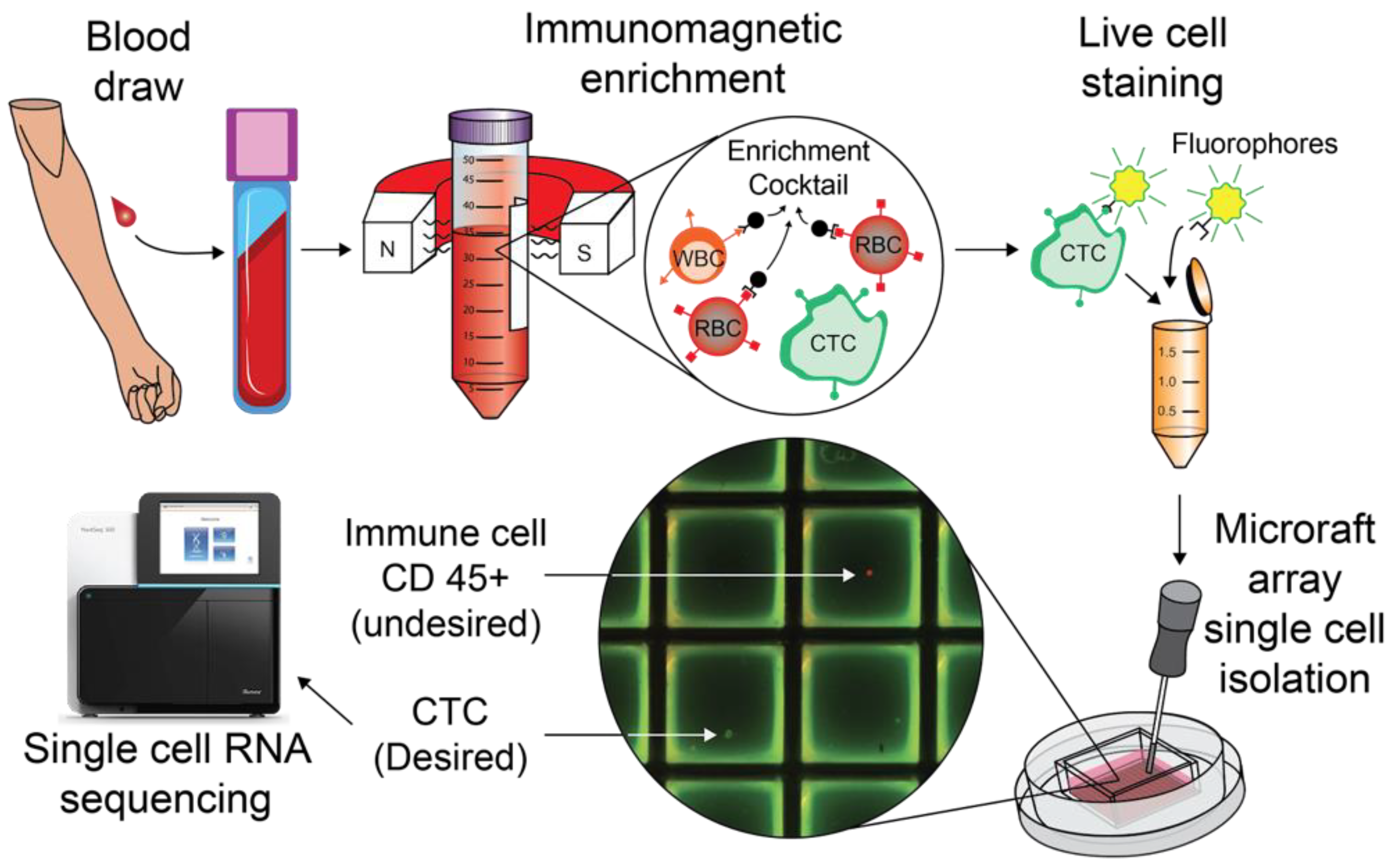 Cancers 14 04921 g001