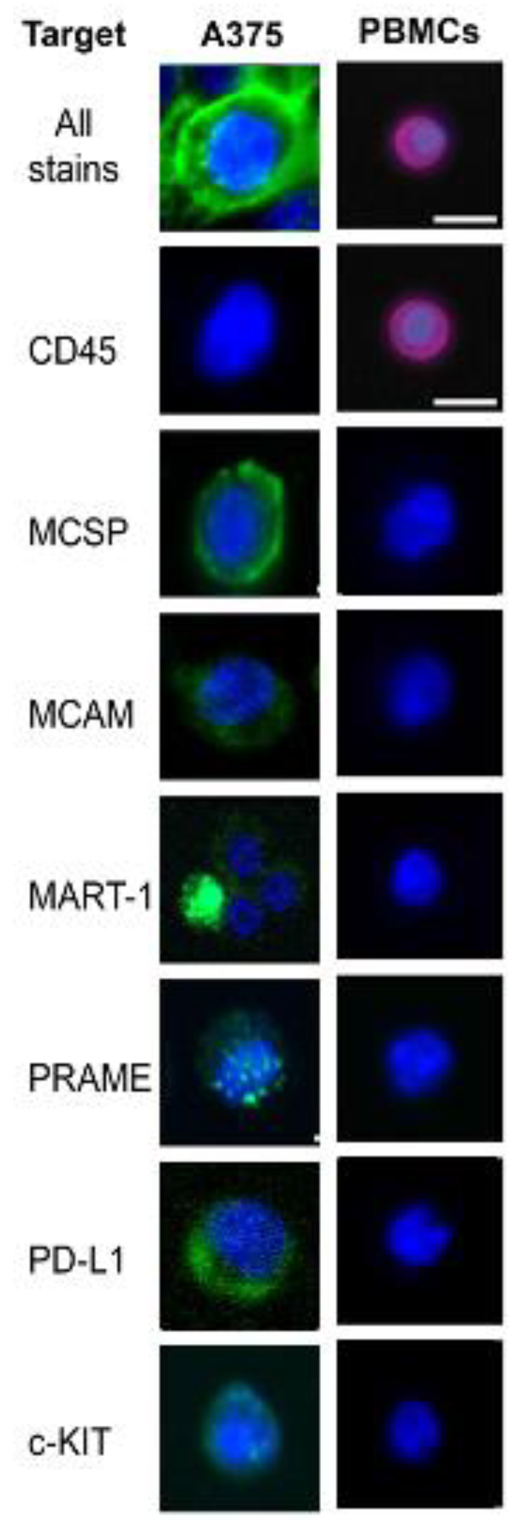 Cancers 14 04921 g002