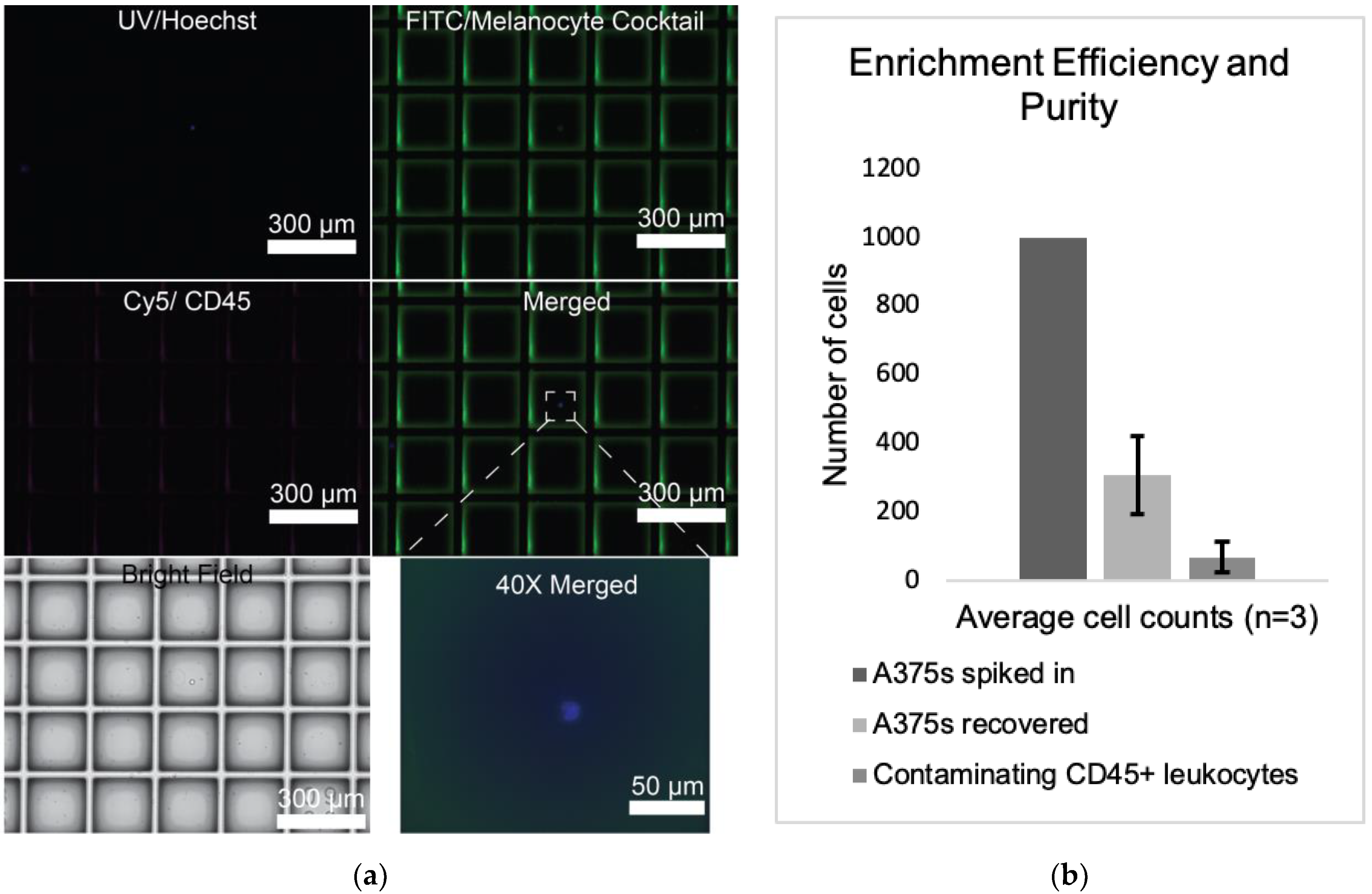 Cancers 14 04921 g003