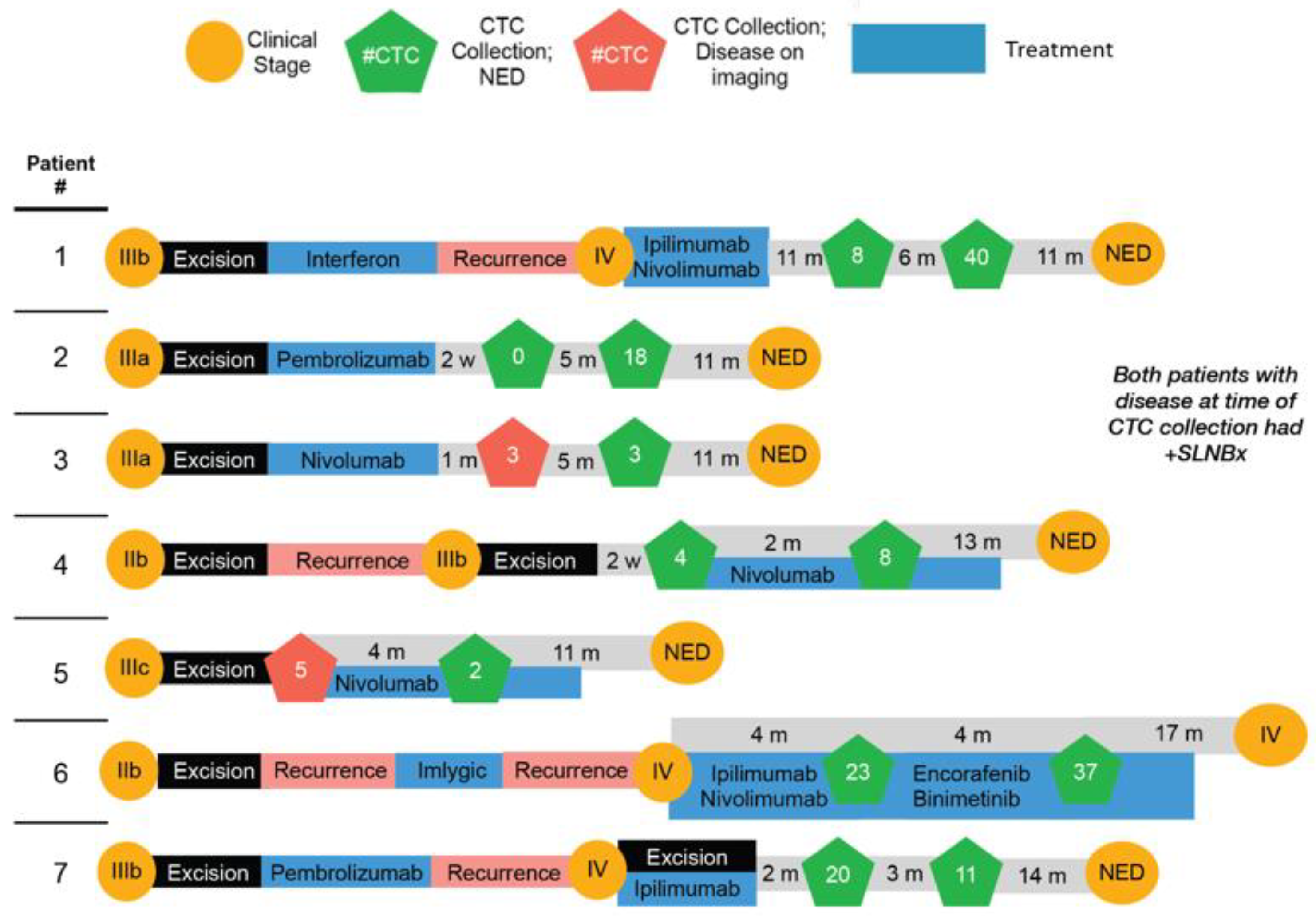 Cancers 14 04921 g004