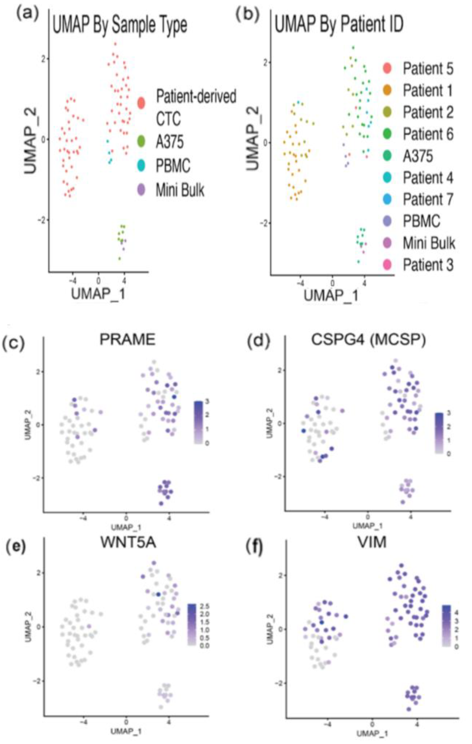 Cancers 14 04921 g006