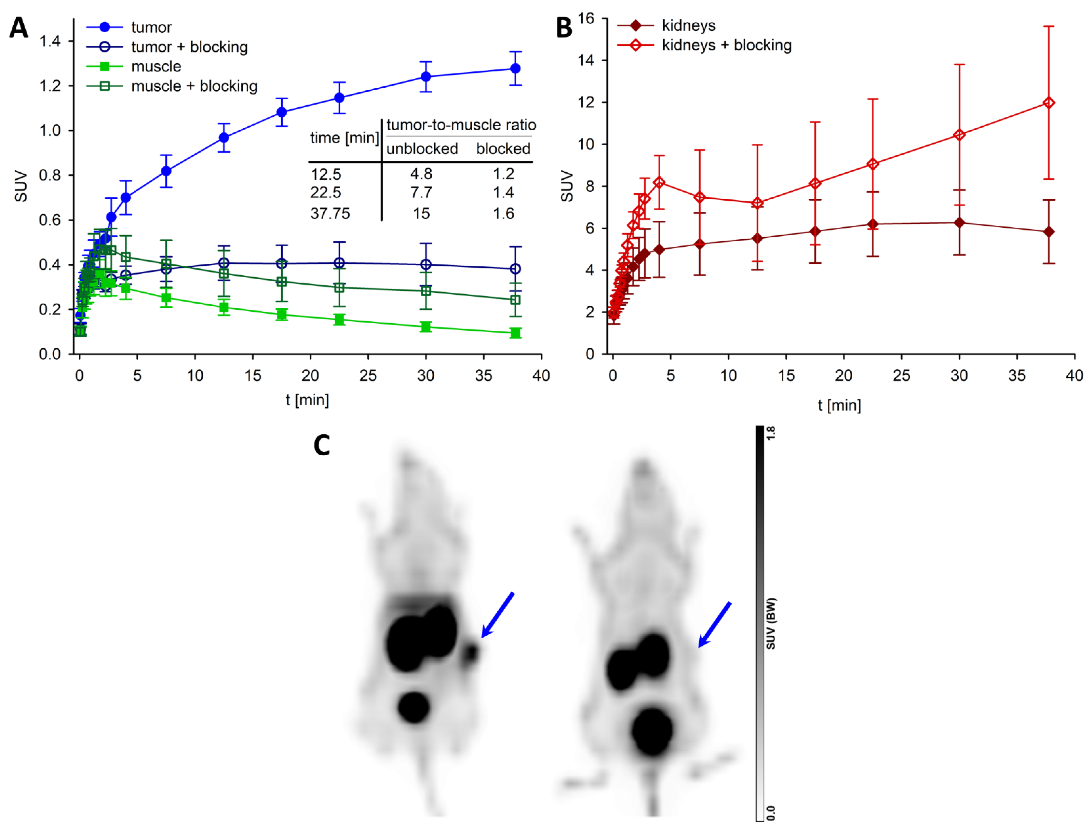 Cancers 14 04922 g007 Cancers 14 04922 g007