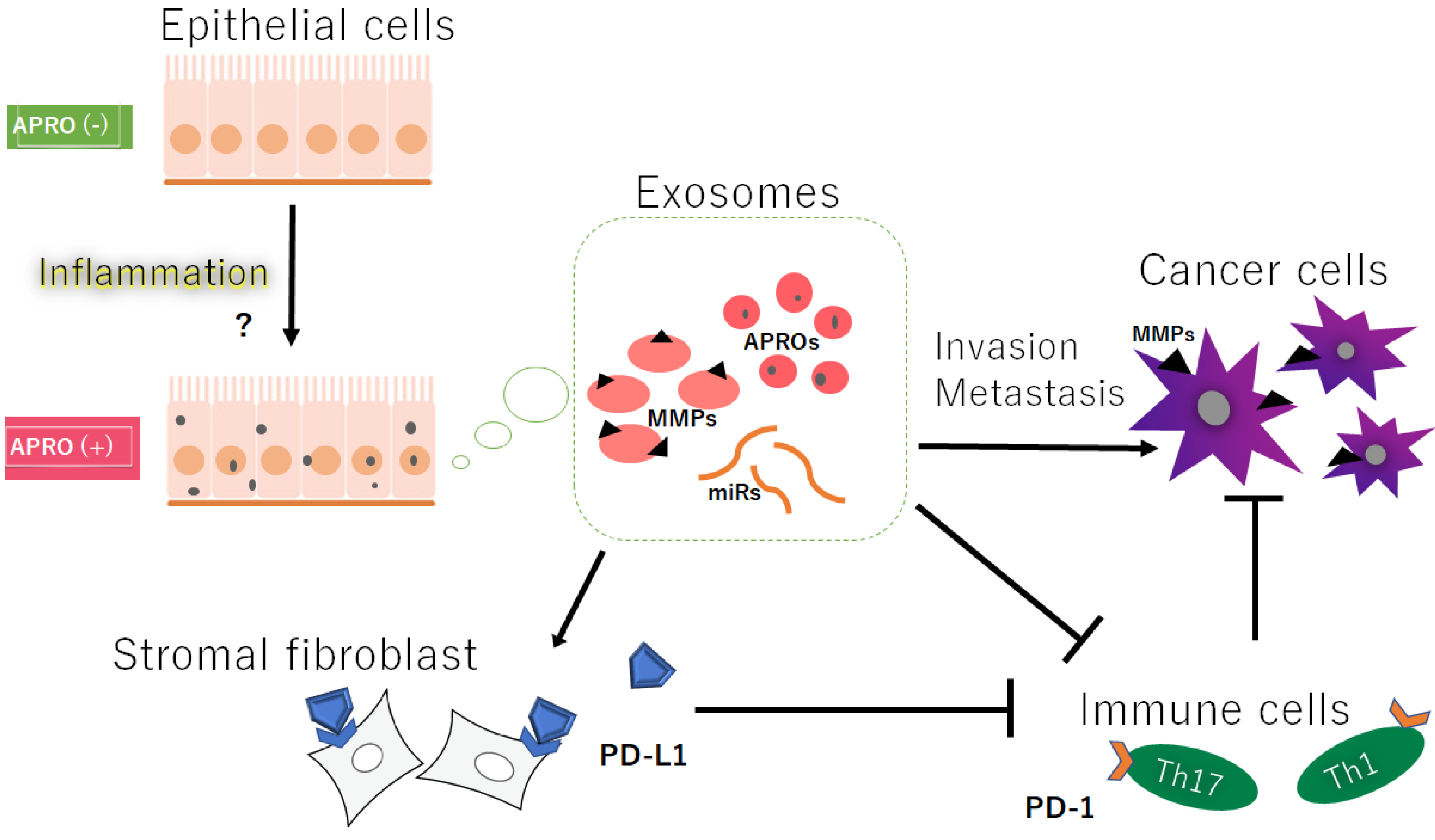 Cancers 14 04931 g001