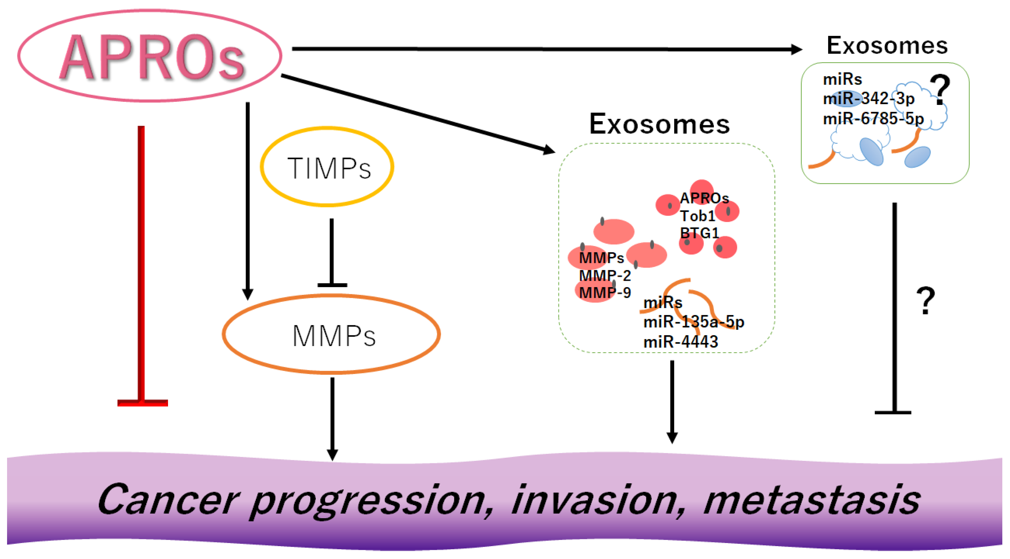 Cancers 14 04931 g002