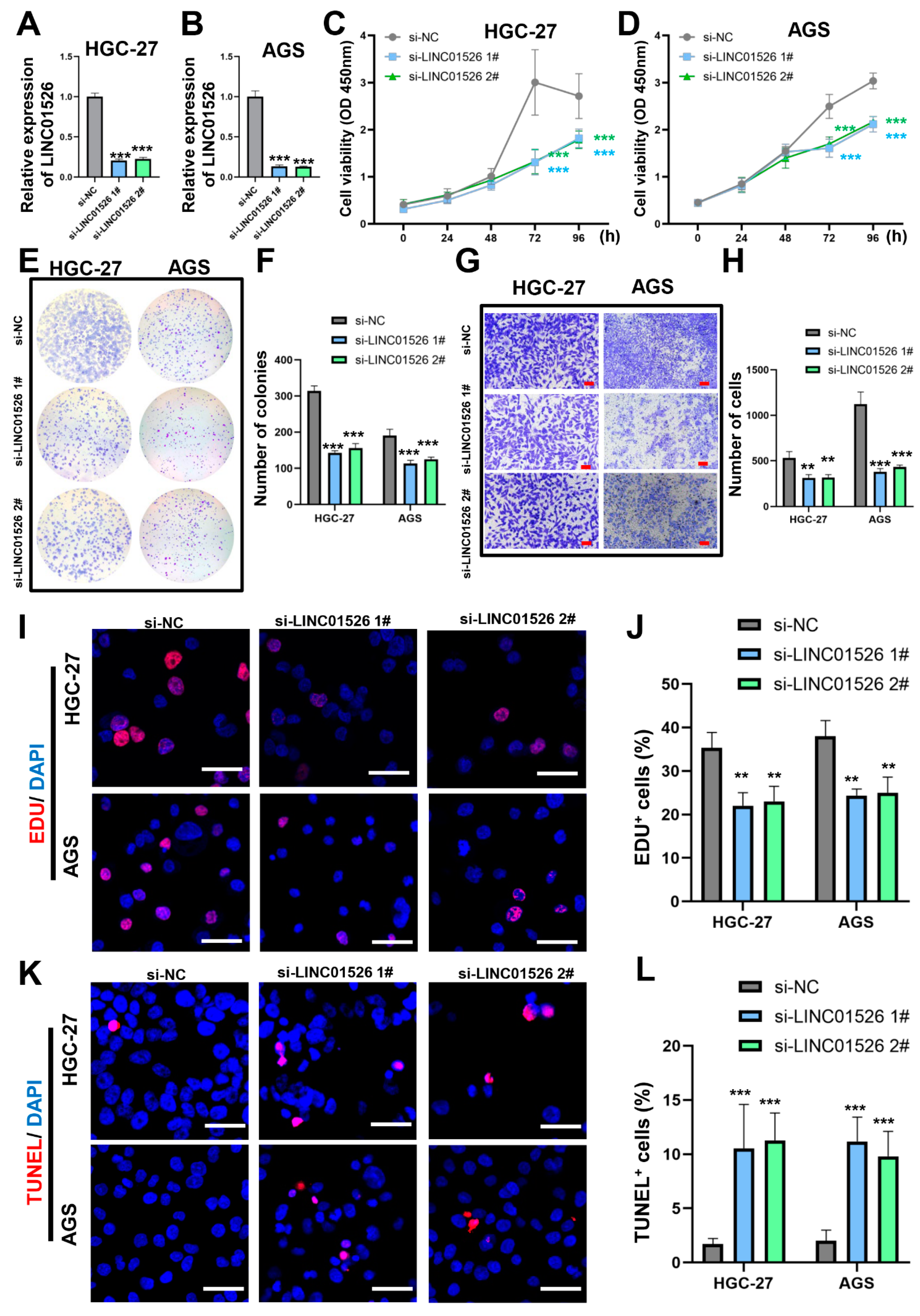 Cancers 14 04940 g002 Cancers 14 04940 g002