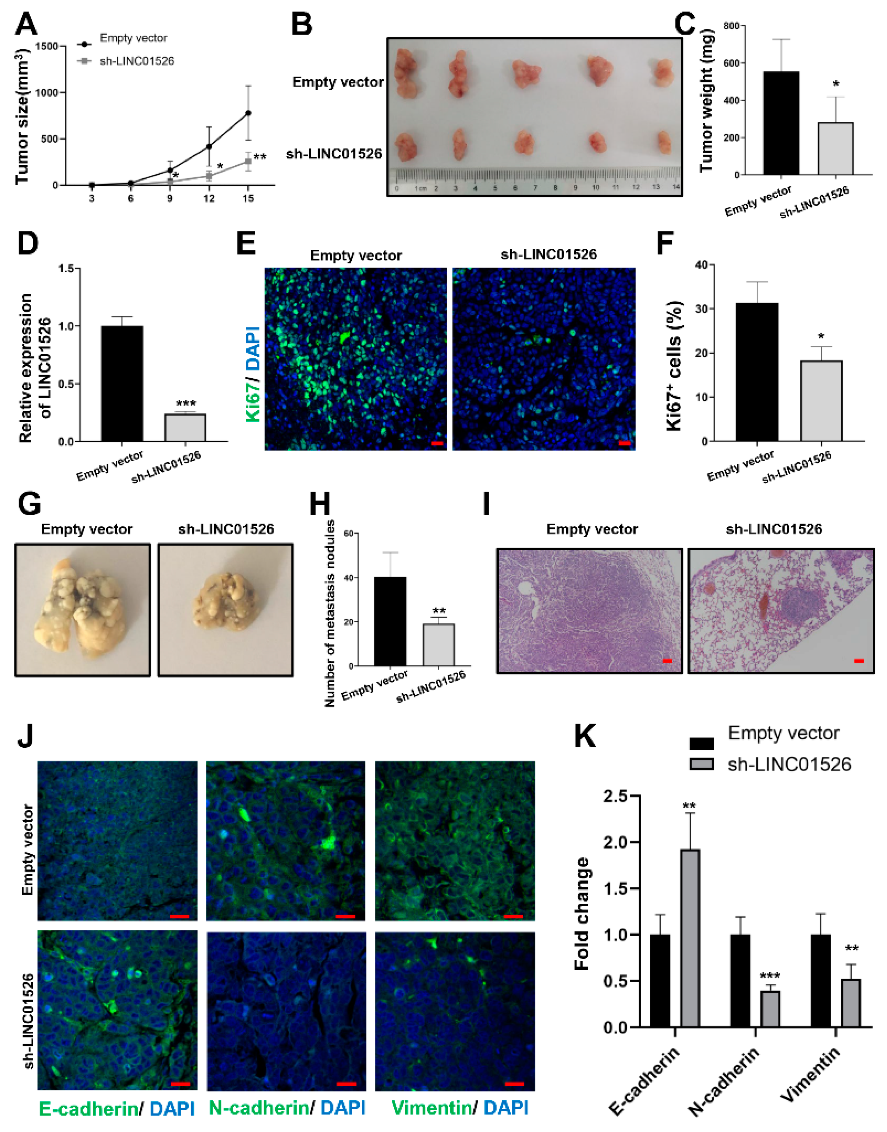 Cancers 14 04940 g003 Cancers 14 04940 g003