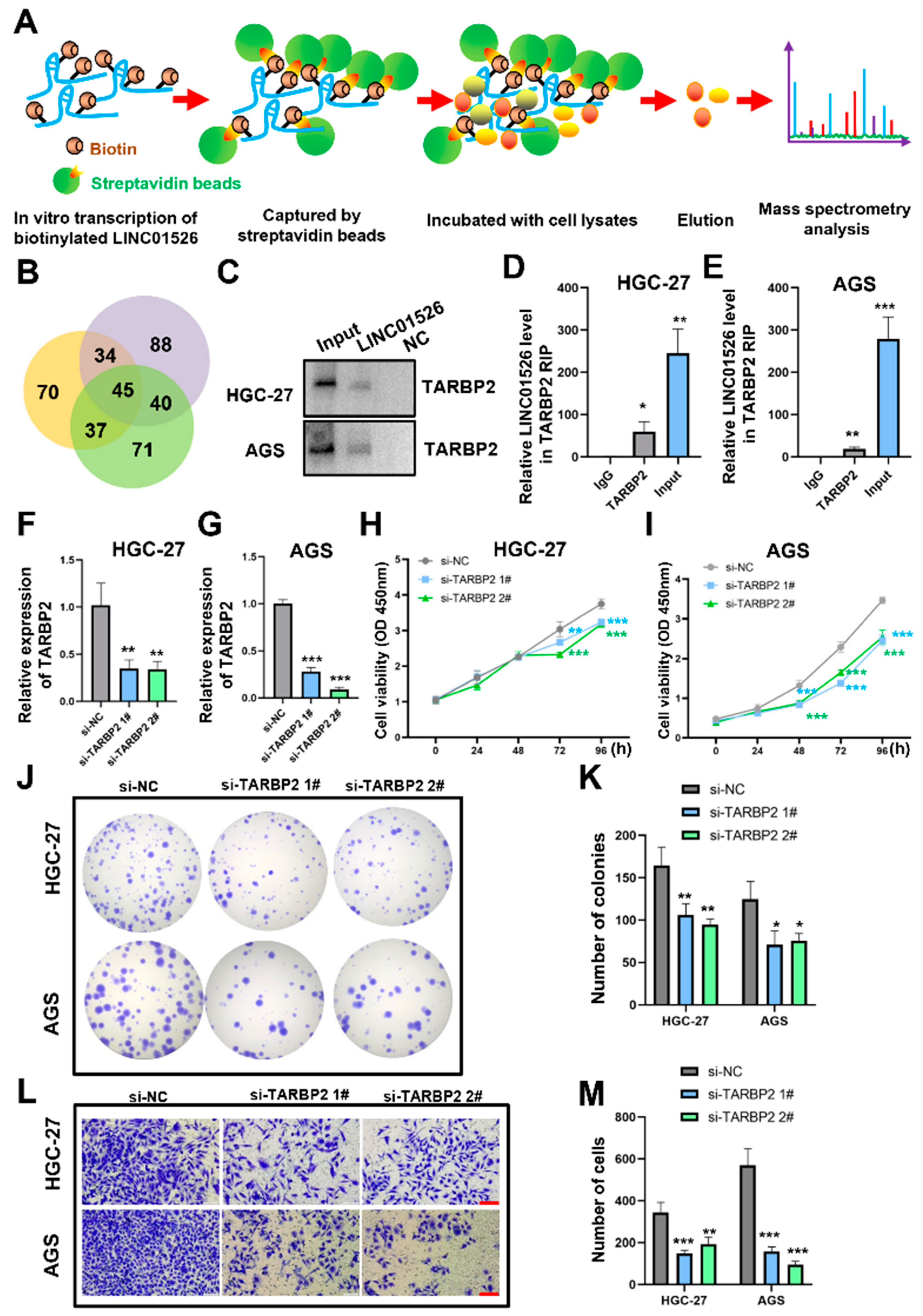 Cancers 14 04940 g004 Cancers 14 04940 g004