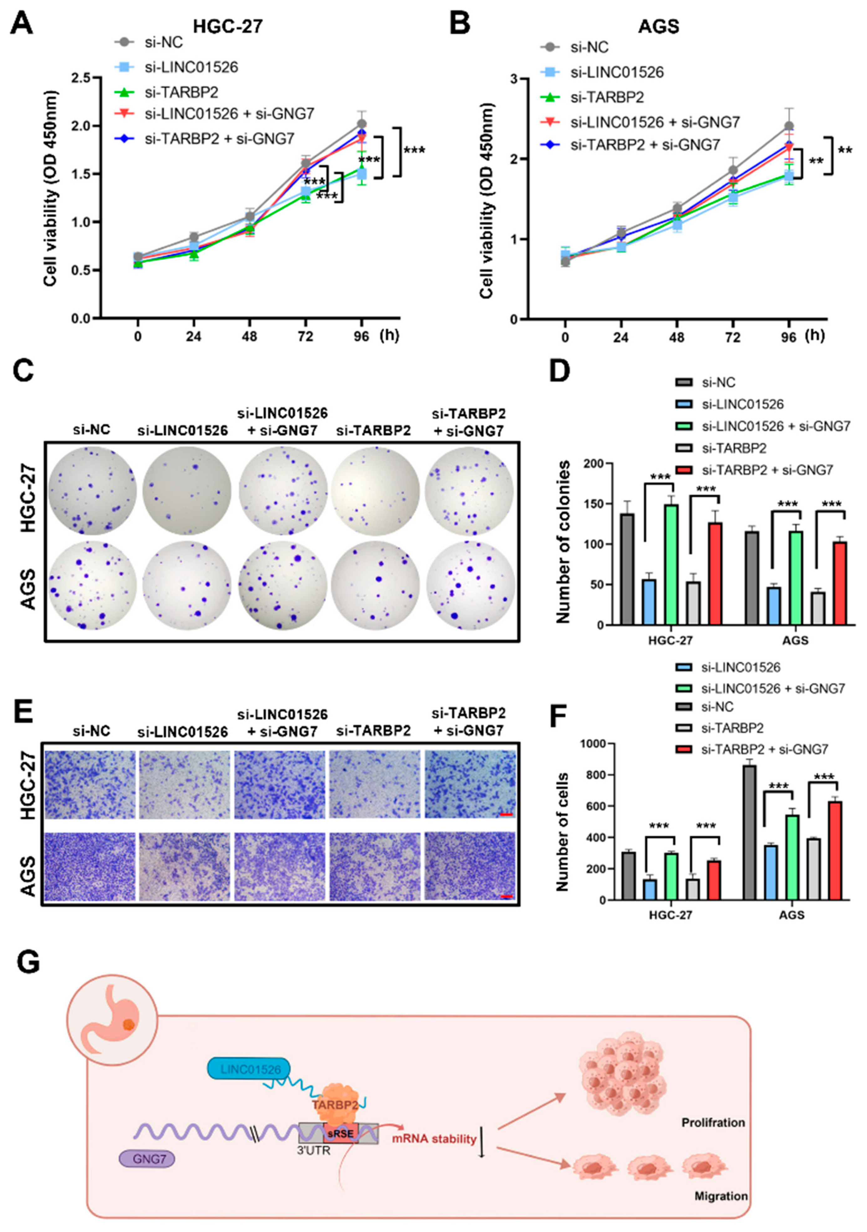 Cancers 14 04940 g007 Cancers 14 04940 g007