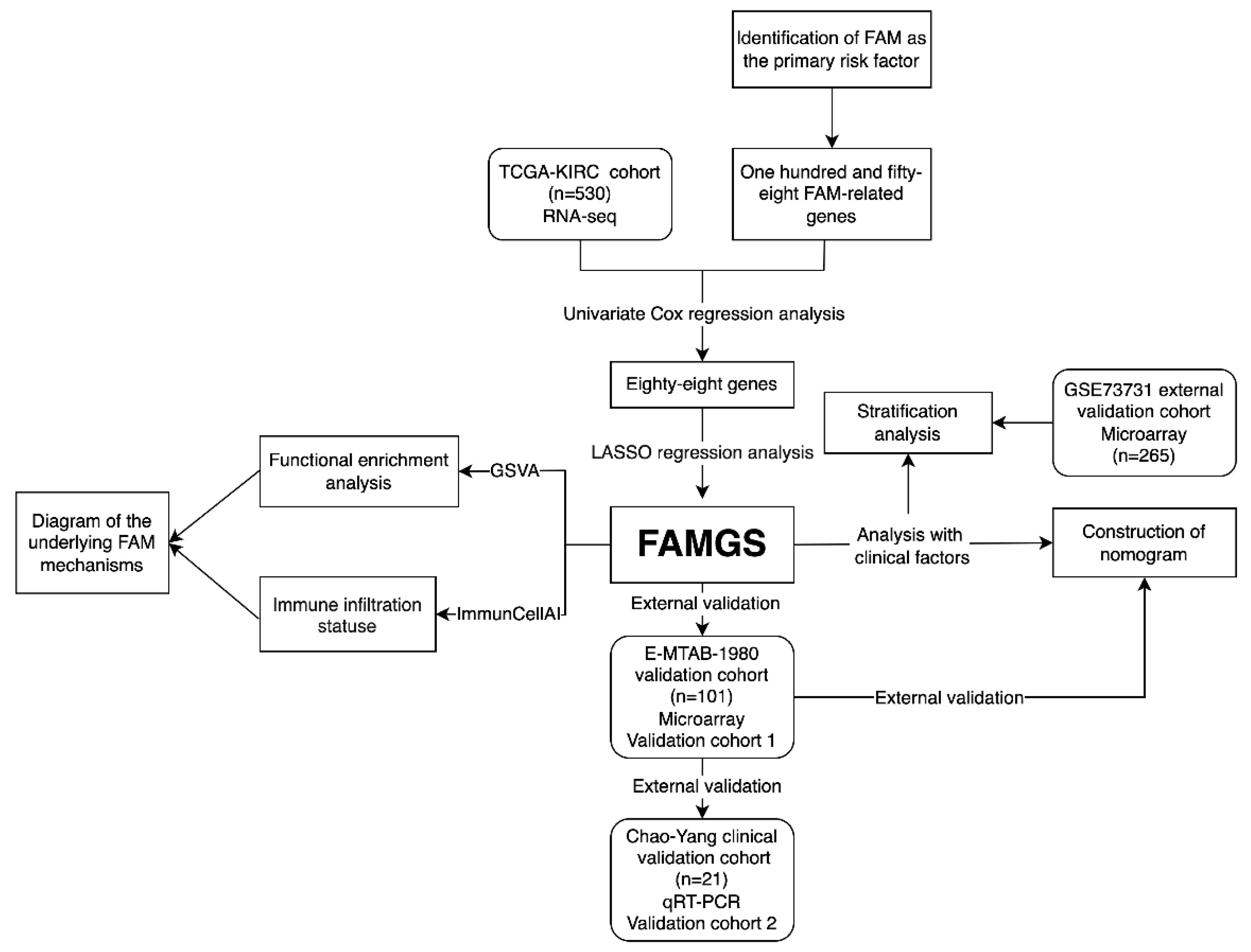 Cancers 14 04943 g001