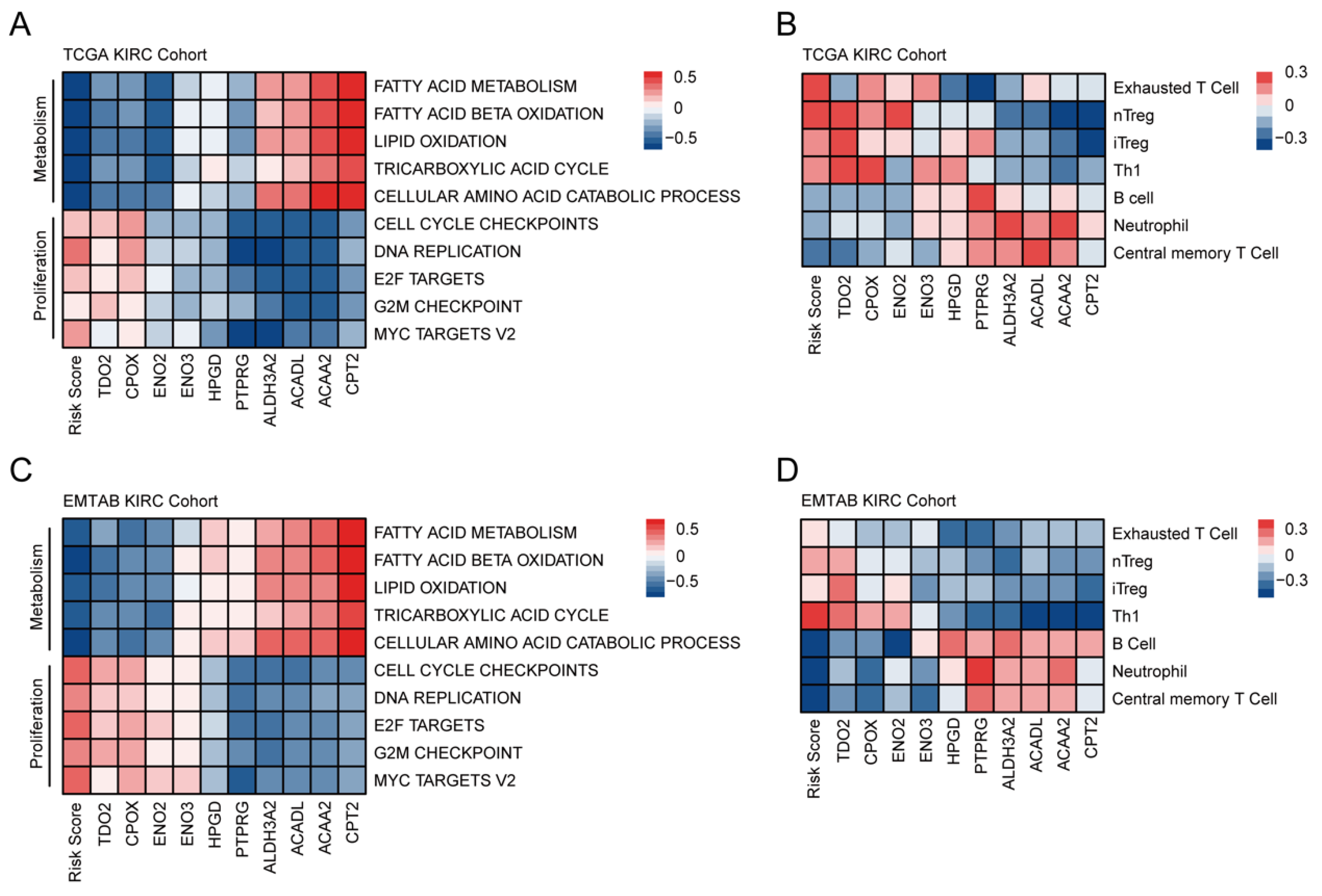 Cancers 14 04943 g004