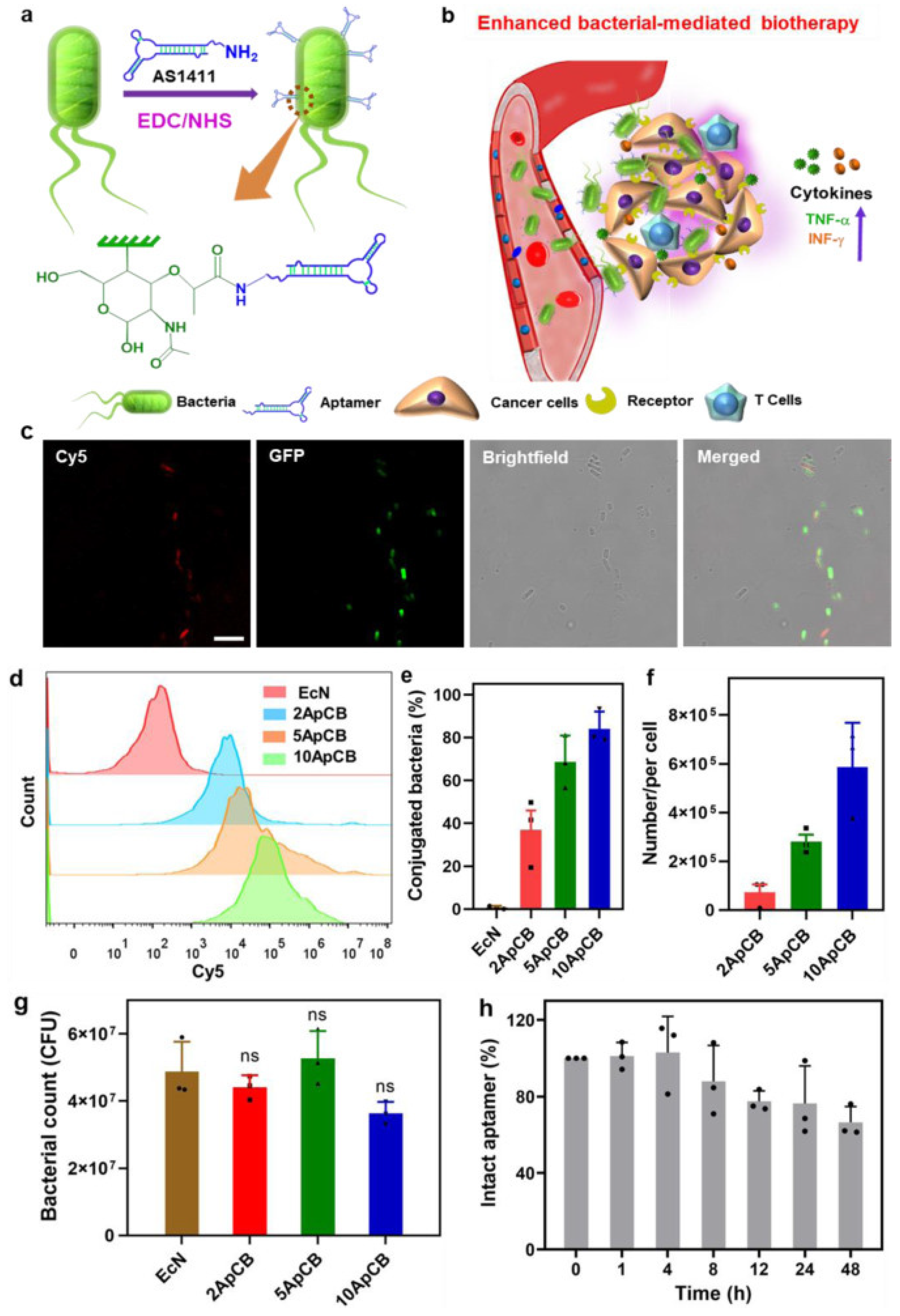 Cancers 14 04945 g004