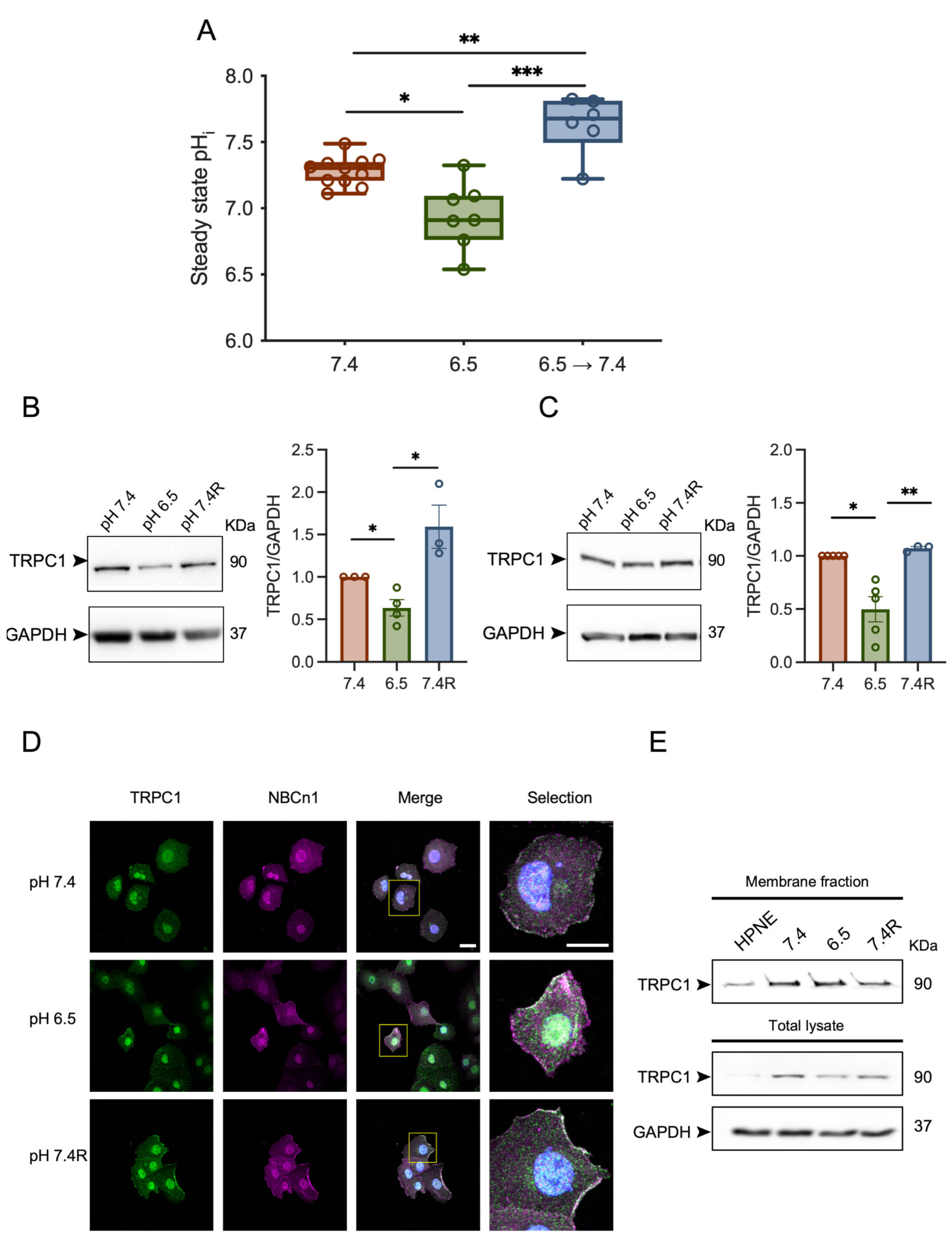 Cancers 14 04946 g001