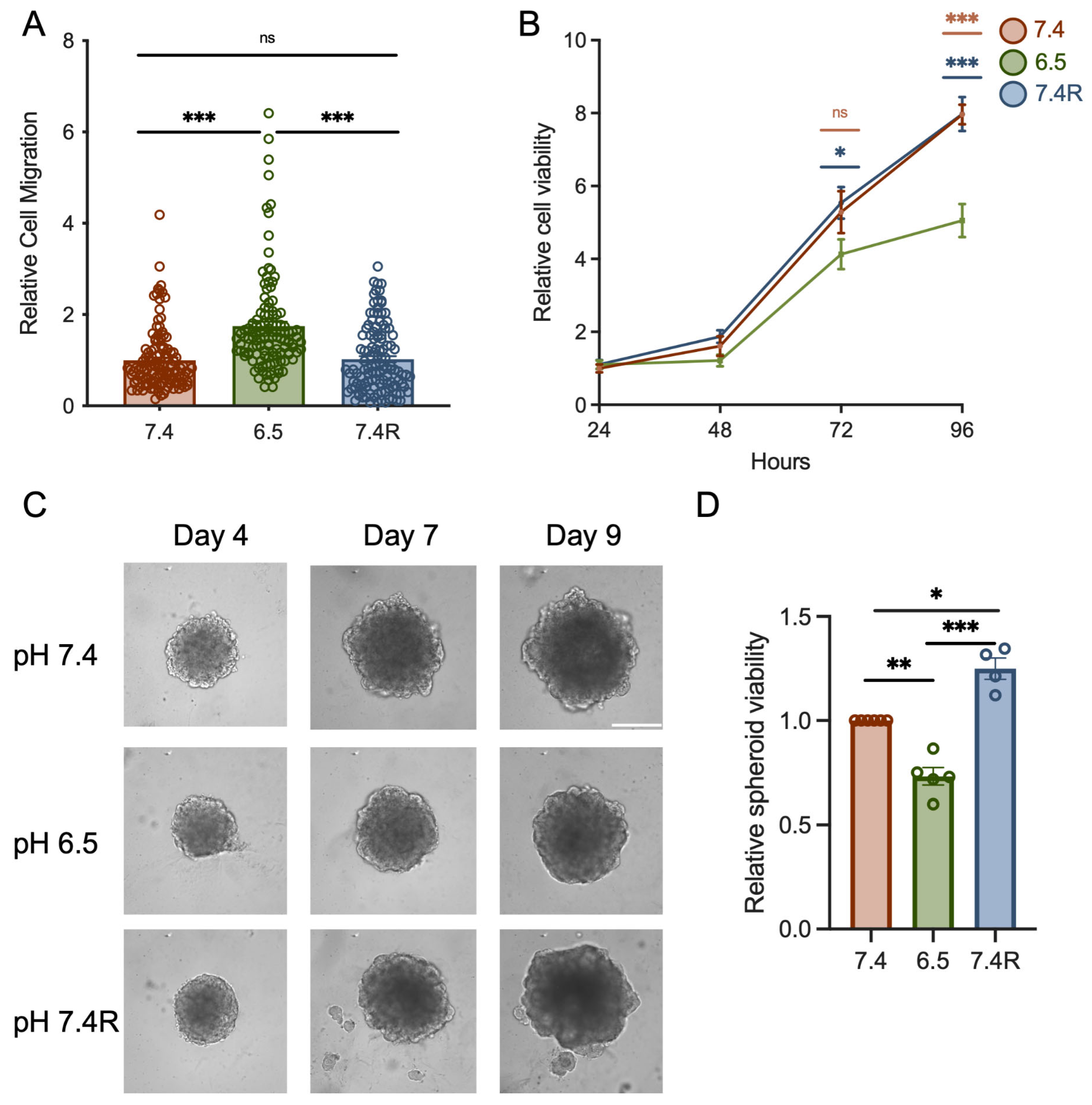Cancers 14 04946 g002