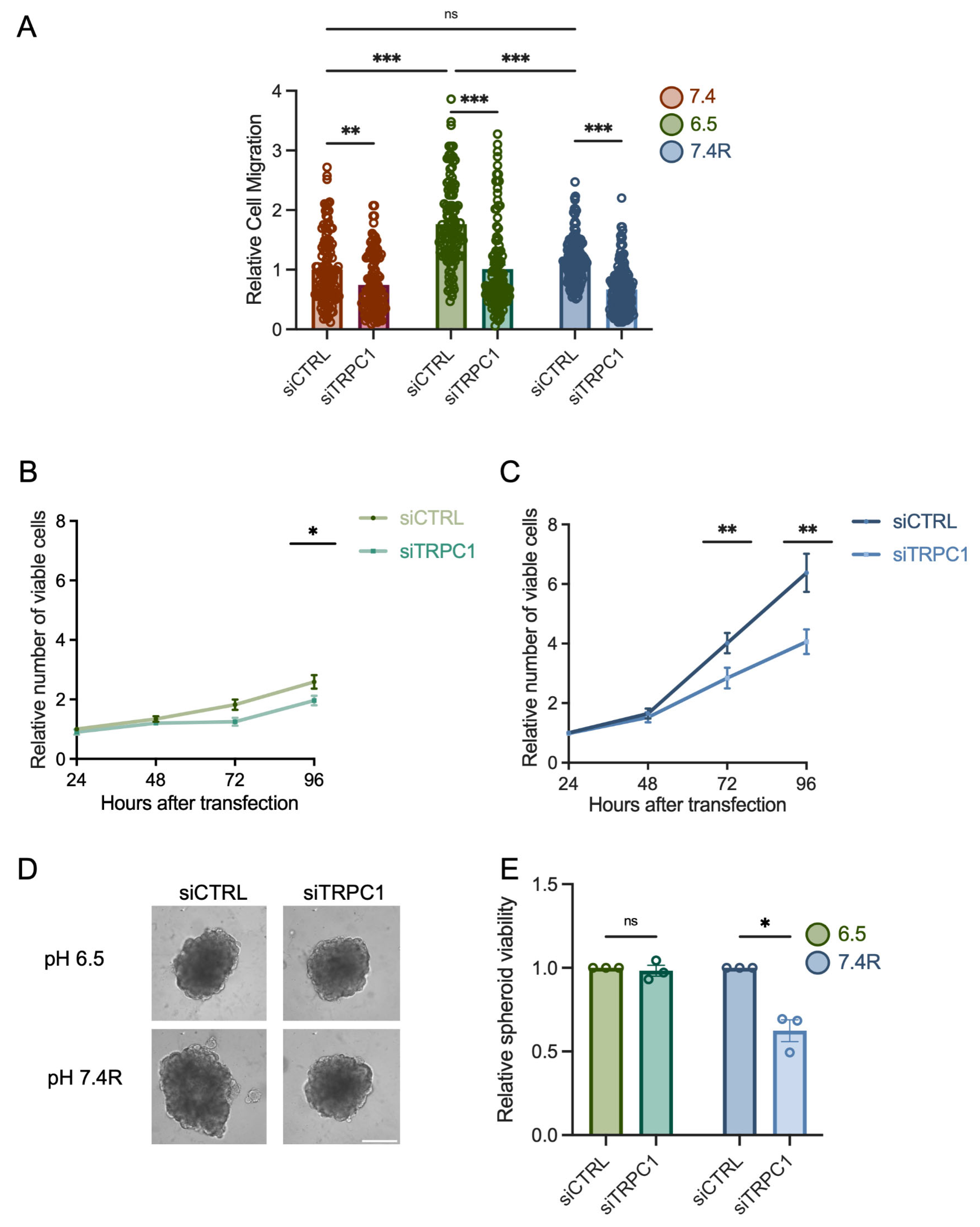 Cancers 14 04946 g003