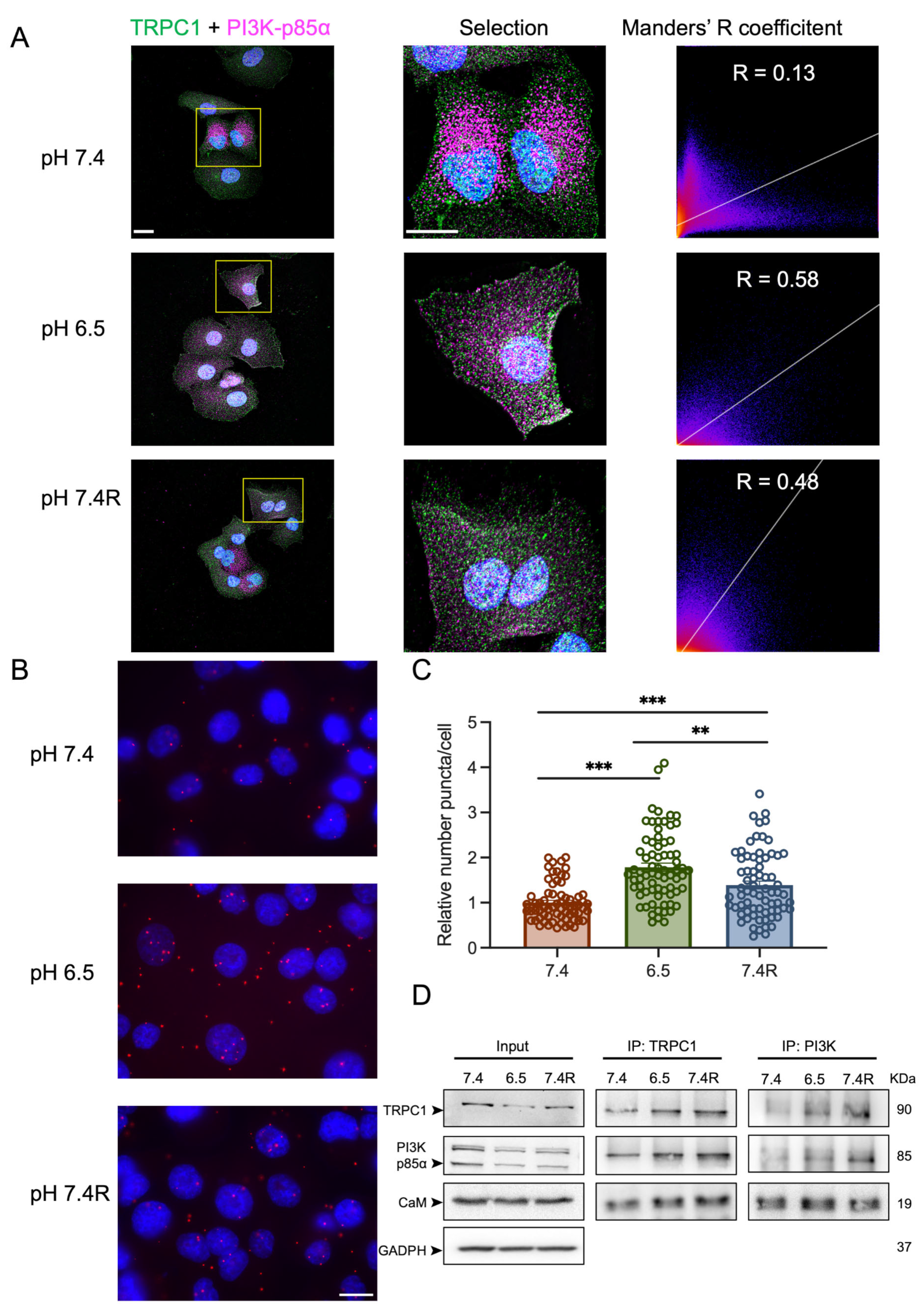 Cancers 14 04946 g006