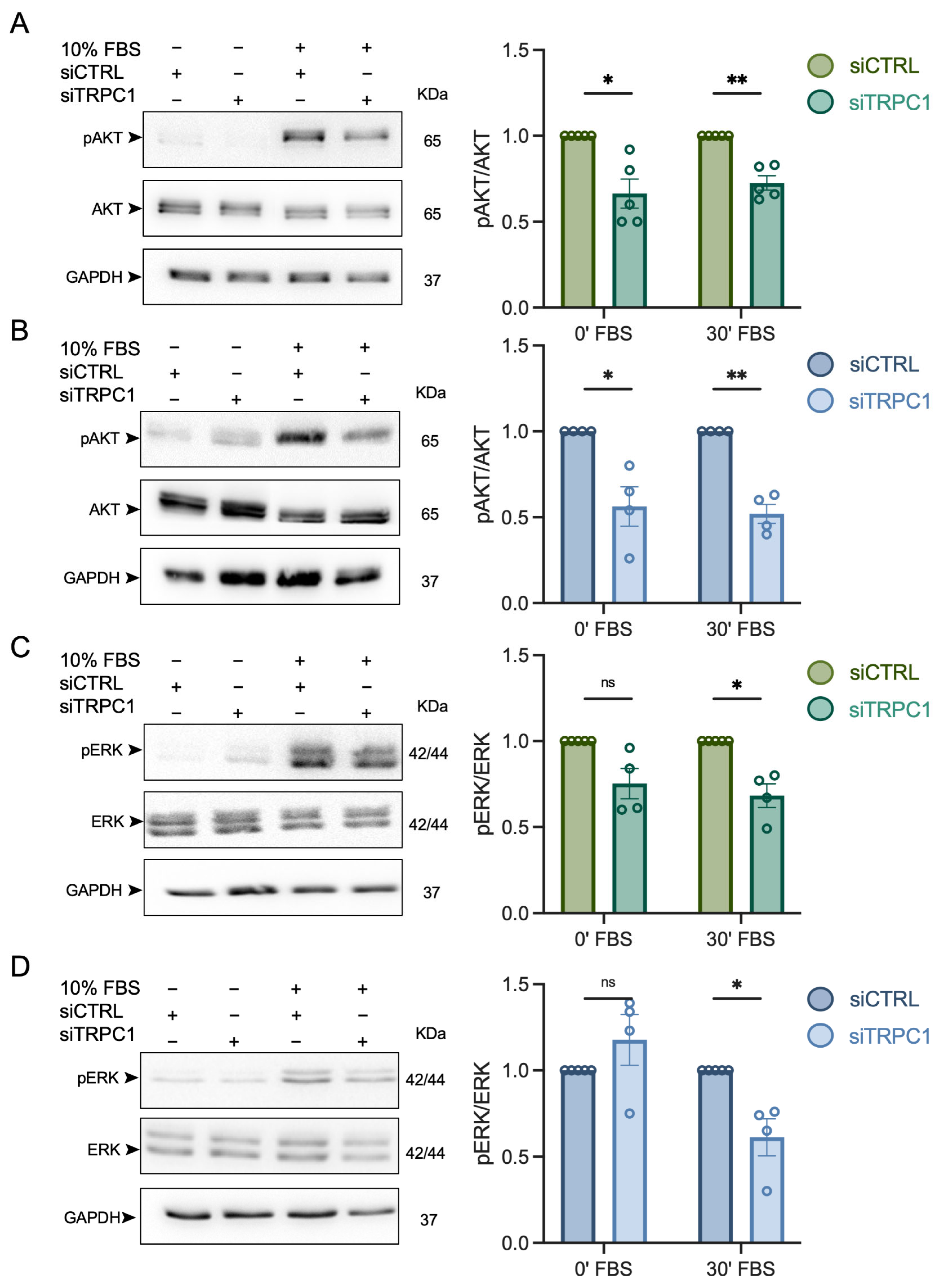 Cancers 14 04946 g008