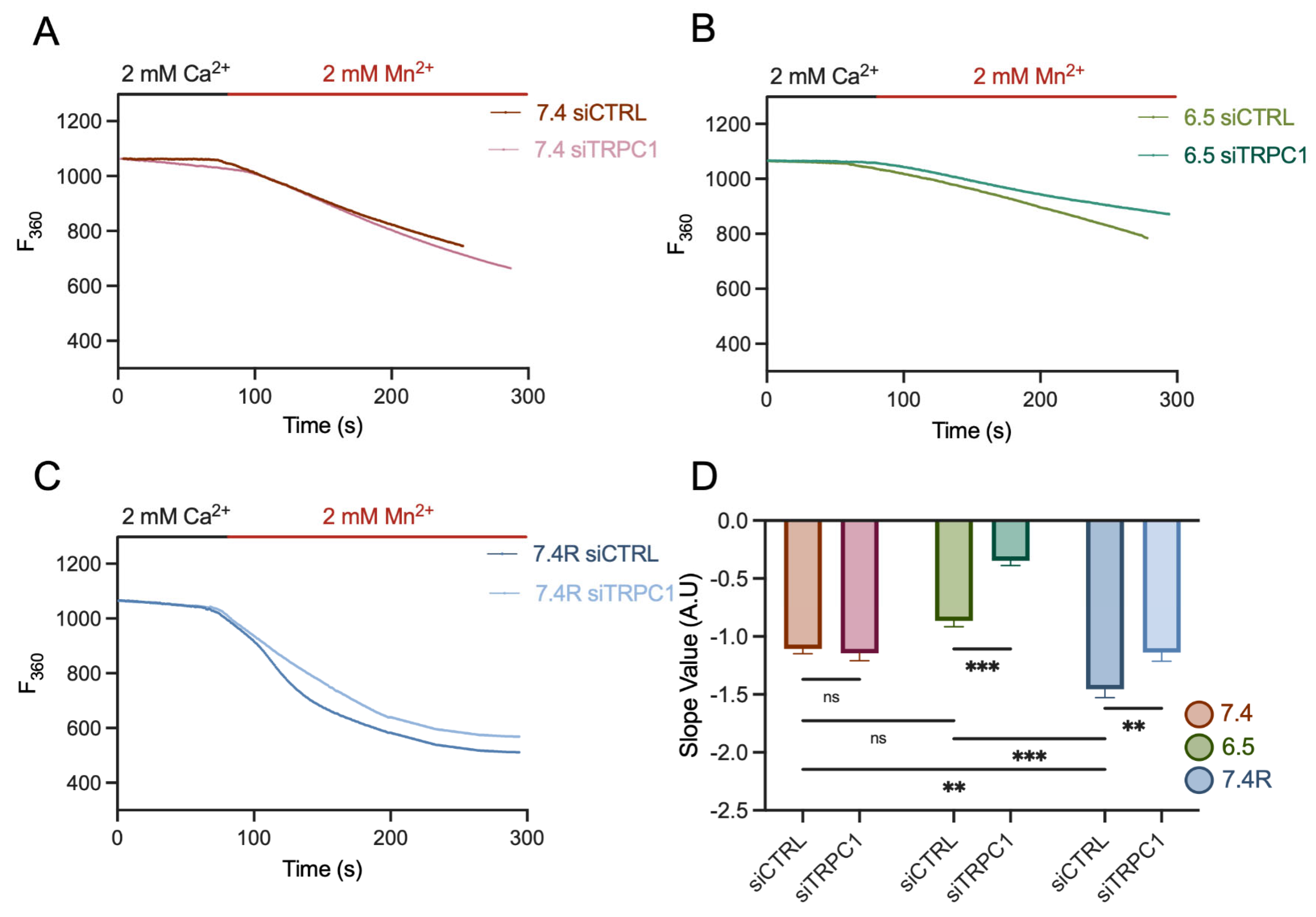 Cancers 14 04946 g009