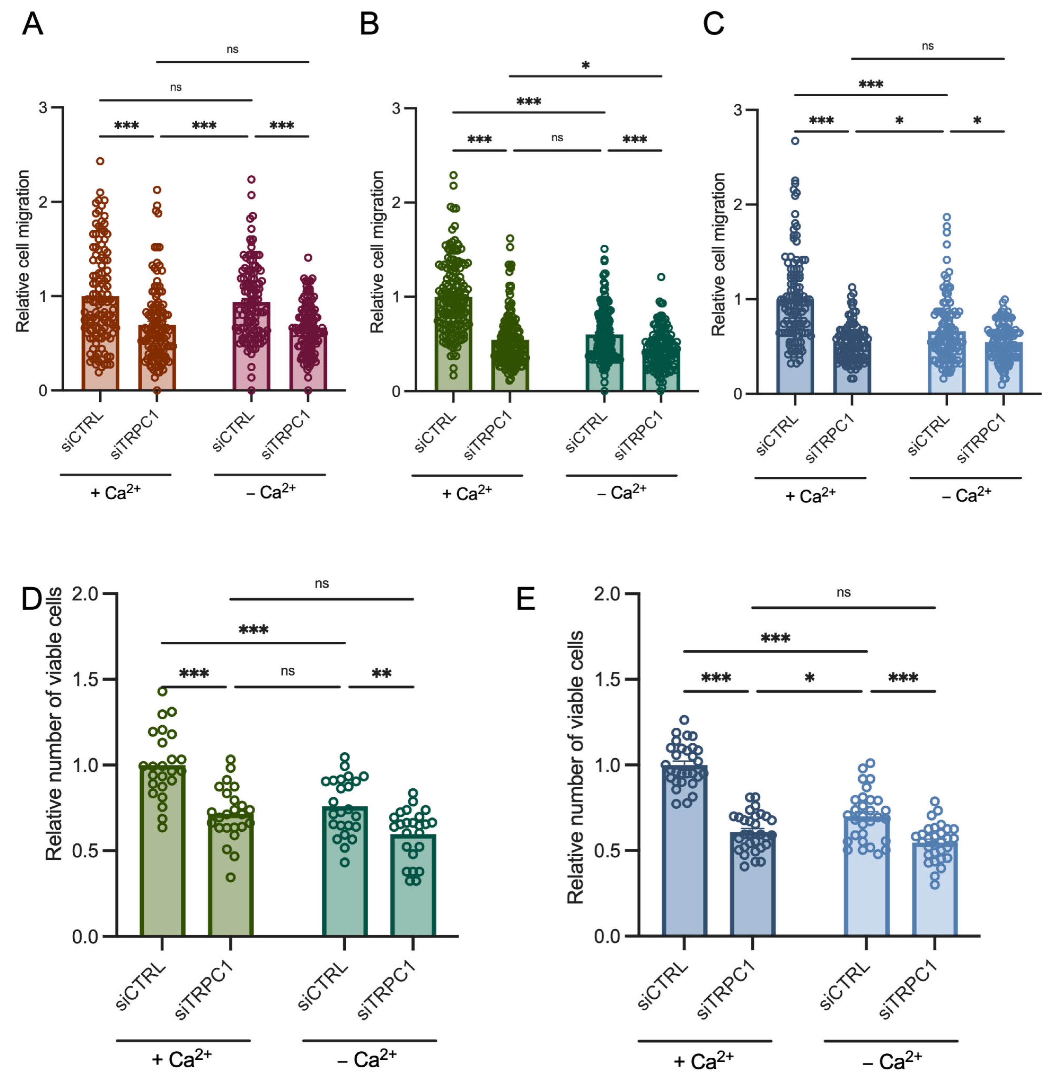 Cancers 14 04946 g010