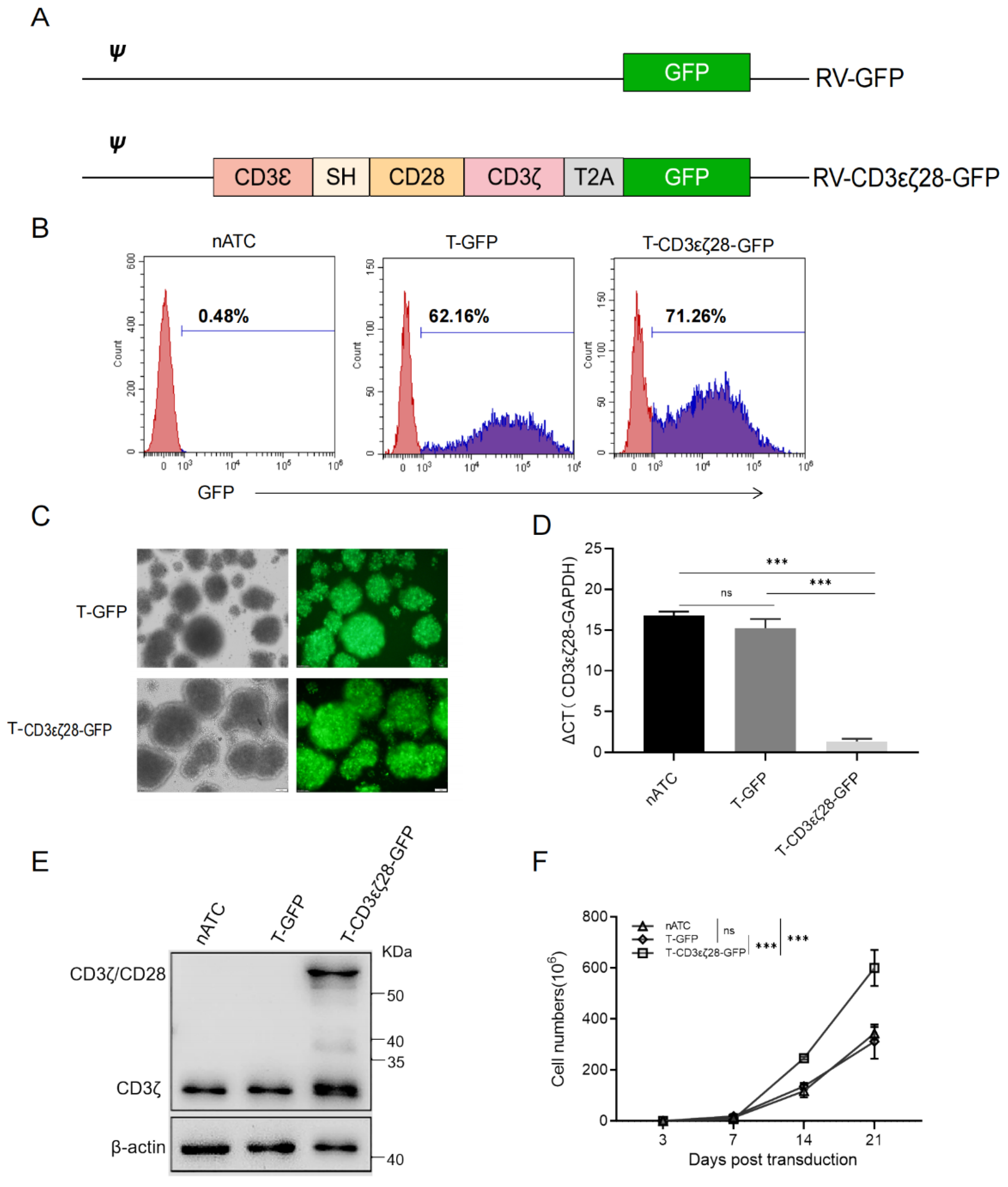Cancers 14 04947 g001