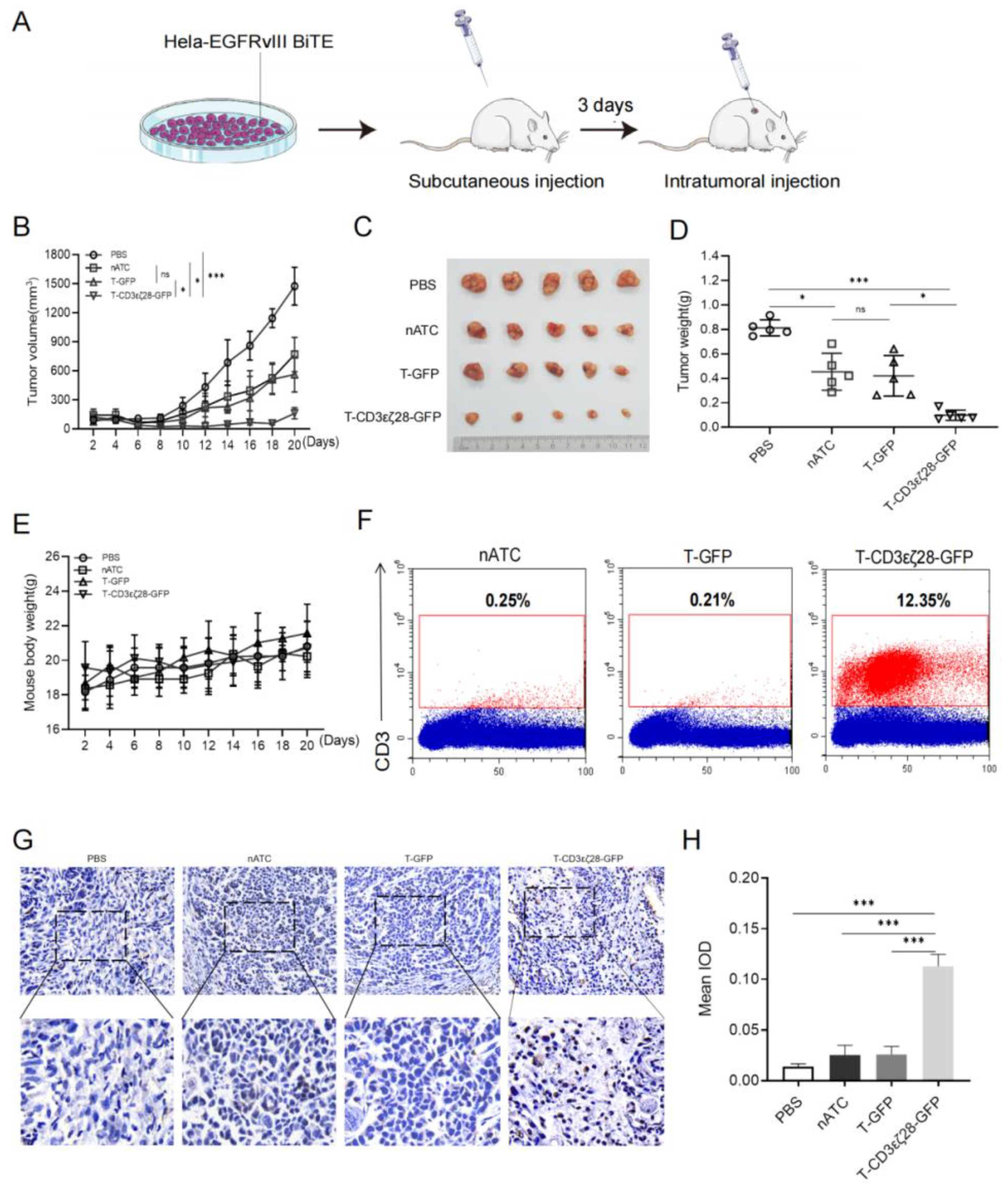 Cancers 14 04947 g003