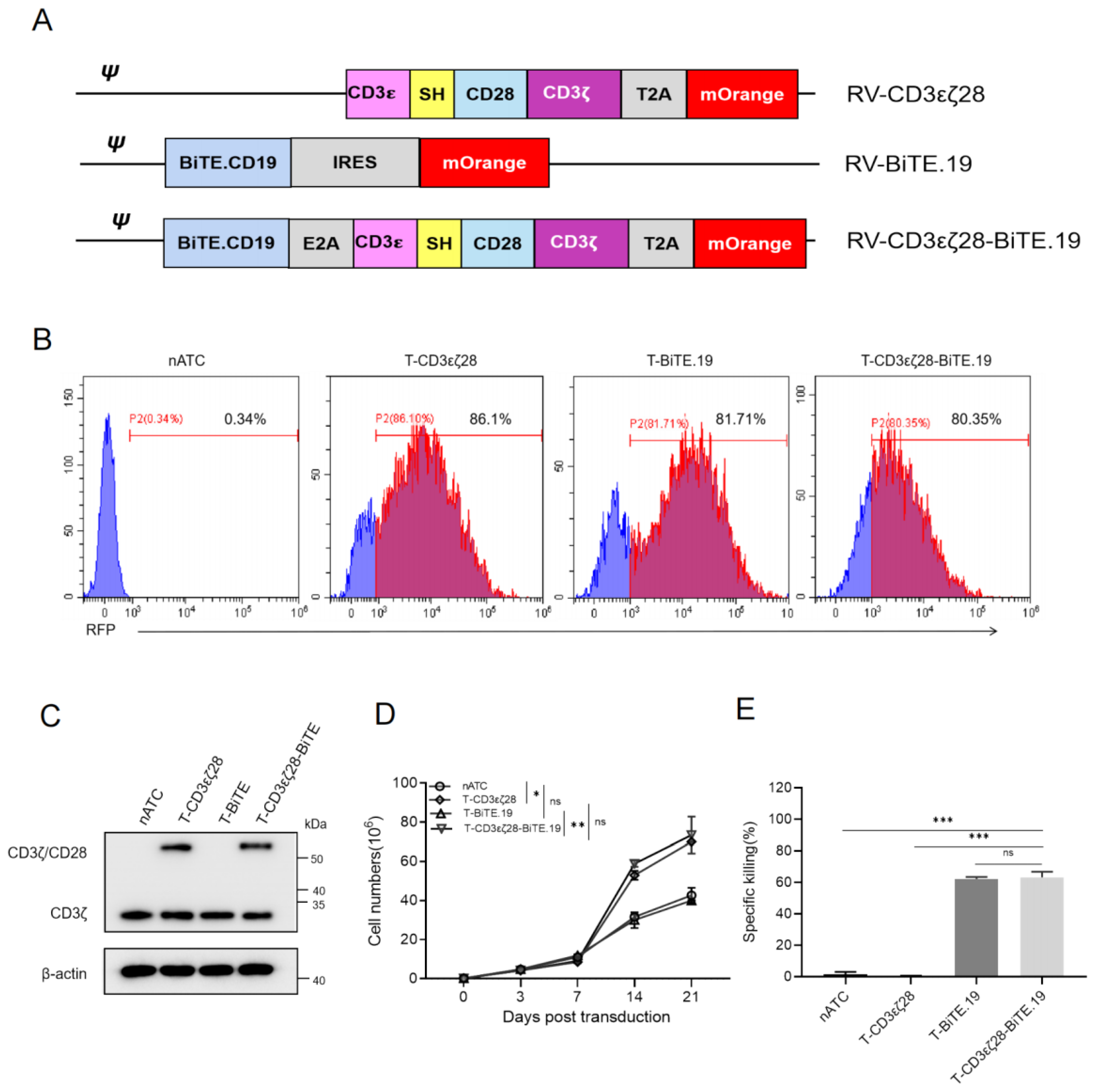 Cancers 14 04947 g004