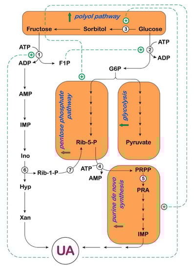 Cancers 14 04959 g003
