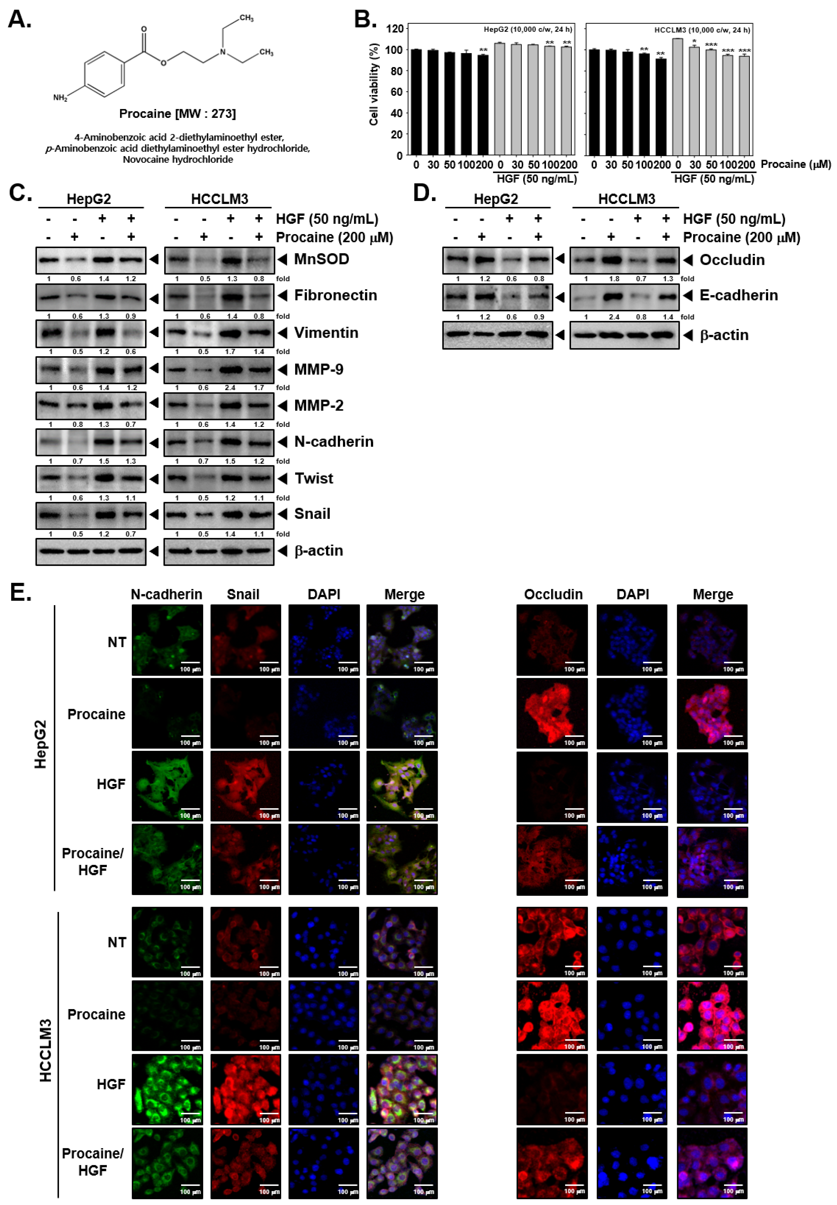 Cancers 14 04978 g001 Cancers 14 04978 g001