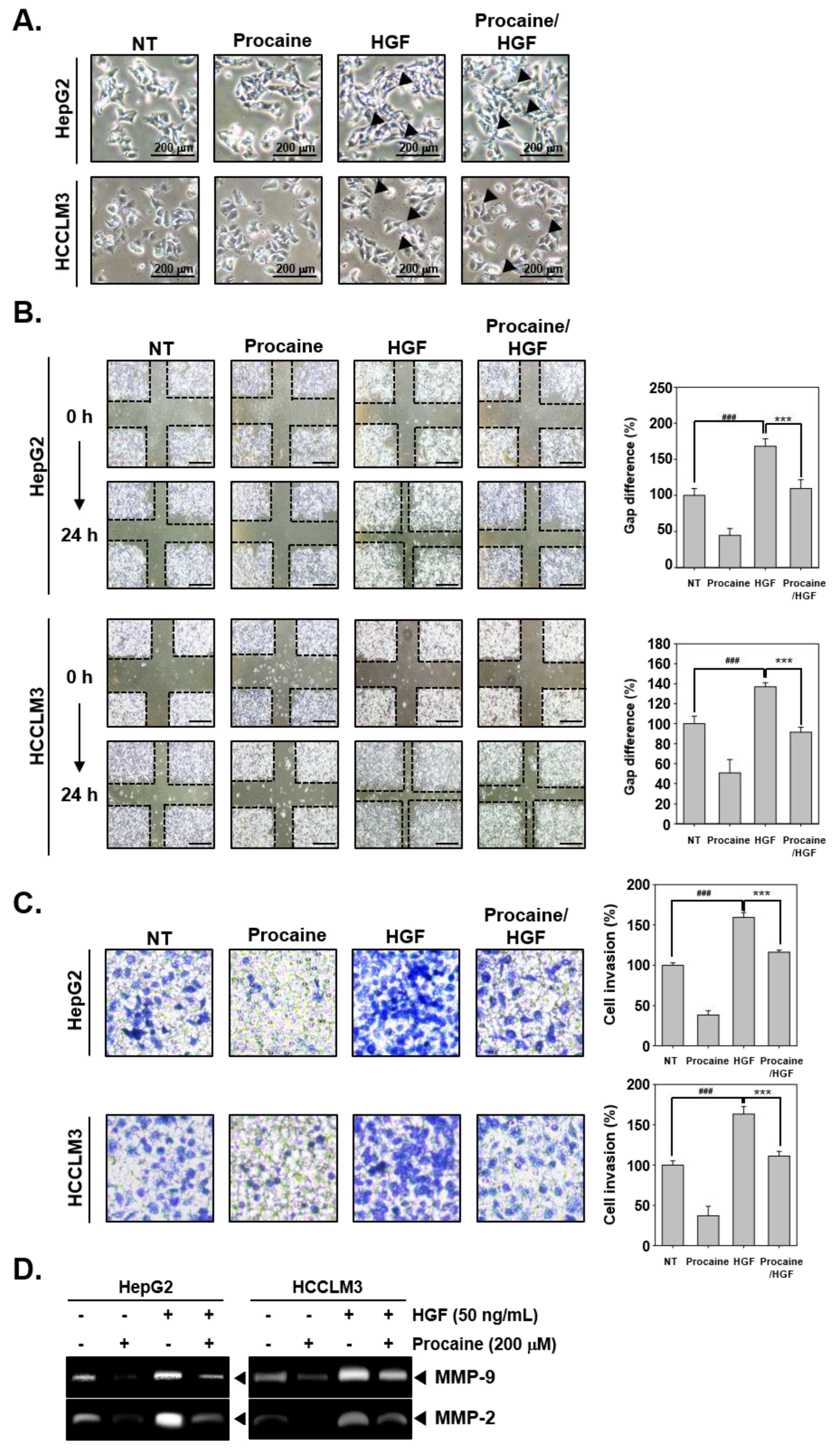 Cancers 14 04978 g002 Cancers 14 04978 g002