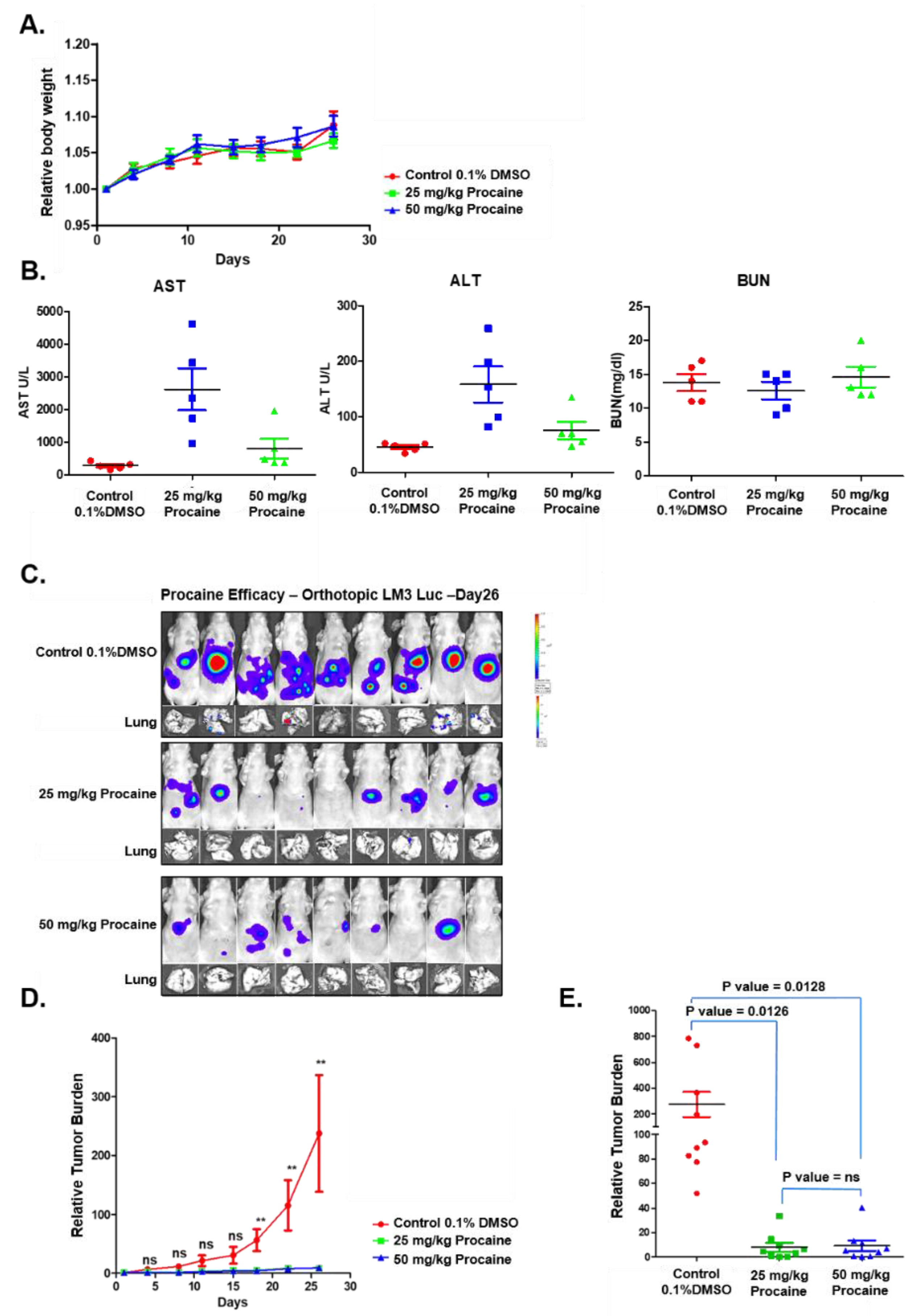 Cancers 14 04978 g004 Cancers 14 04978 g004