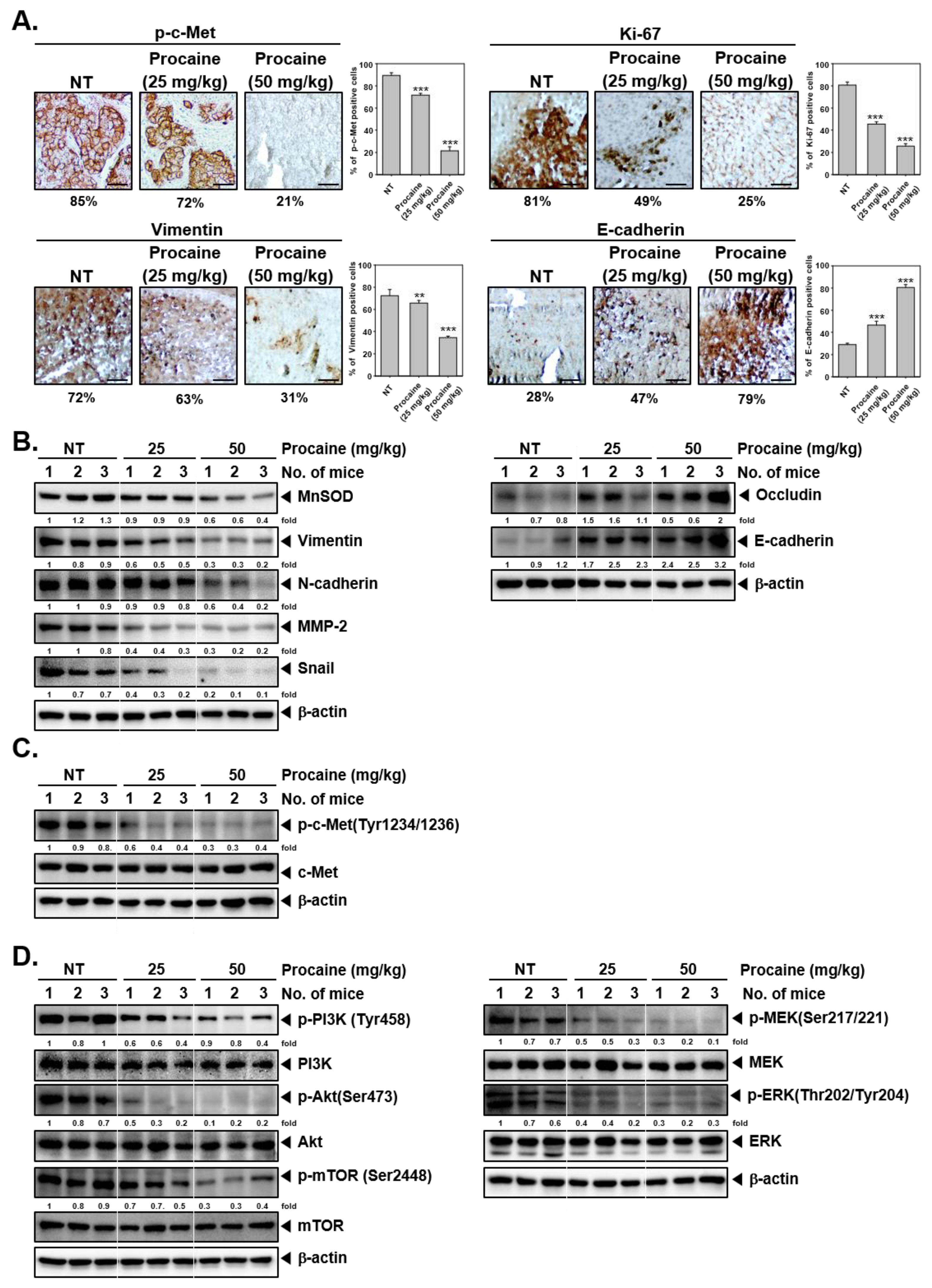 Cancers 14 04978 g005 Cancers 14 04978 g005