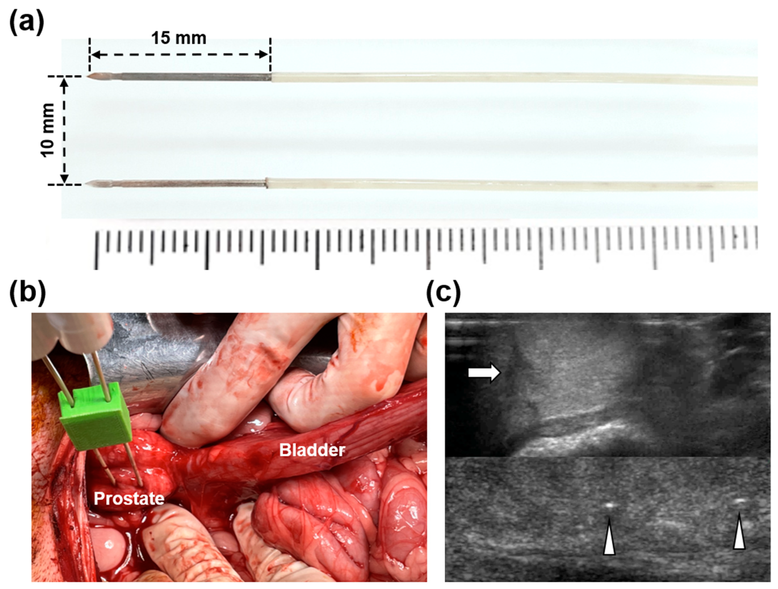 Cancers 14 04987 g001