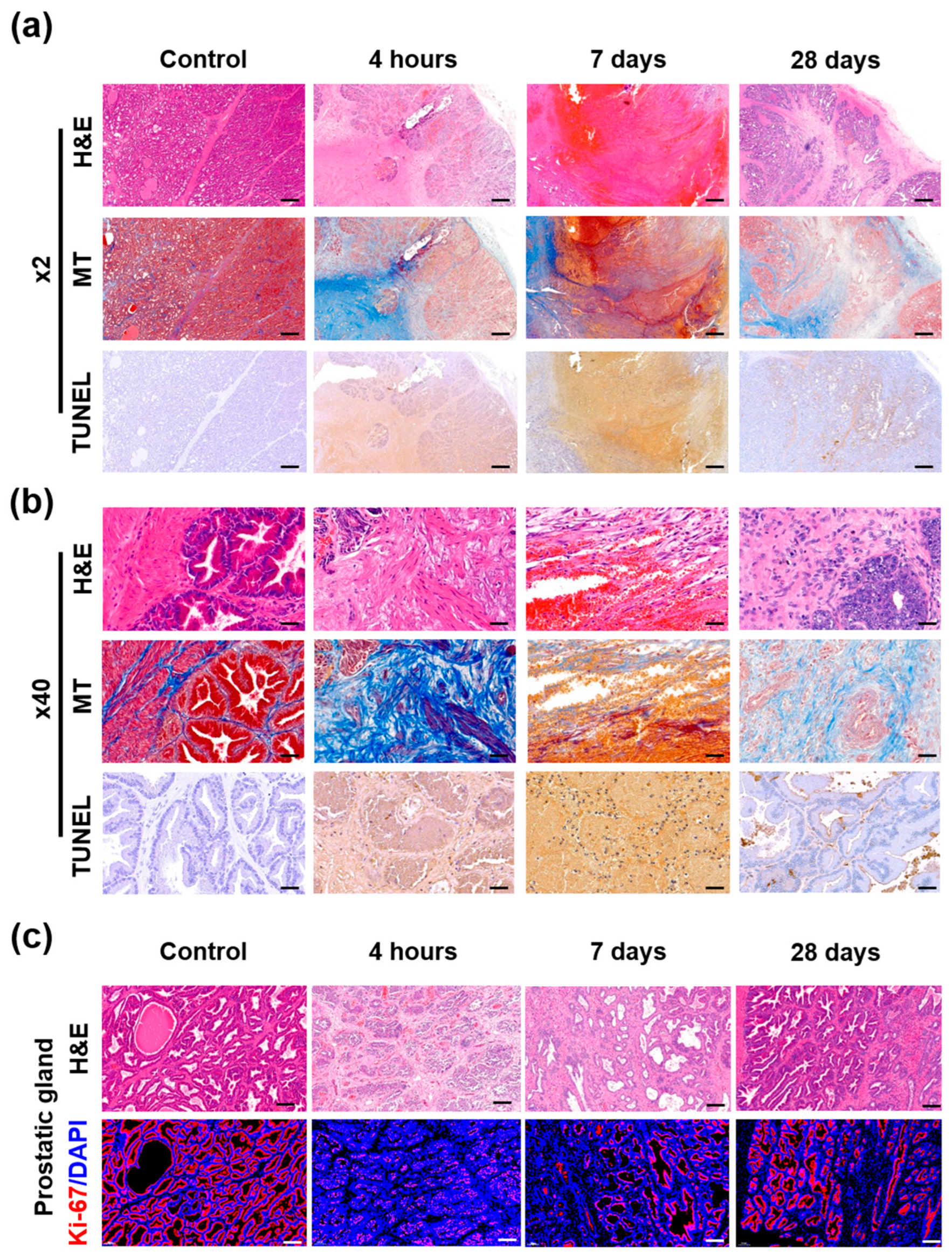 Cancers 14 04987 g005