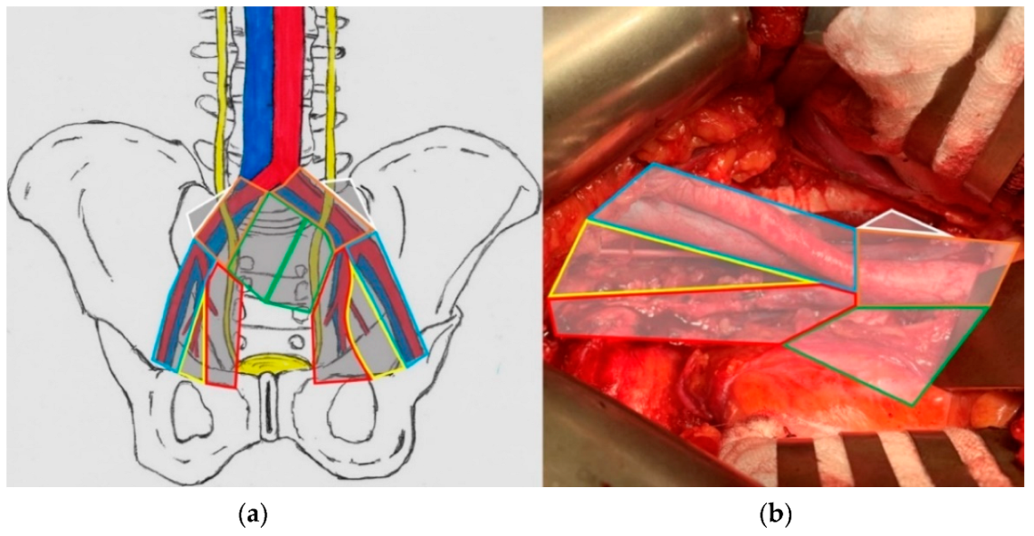 Cancers 14 05012 g003