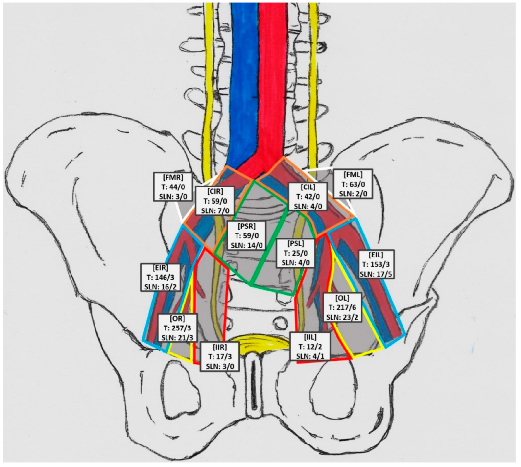 Cancers 14 05012 g004