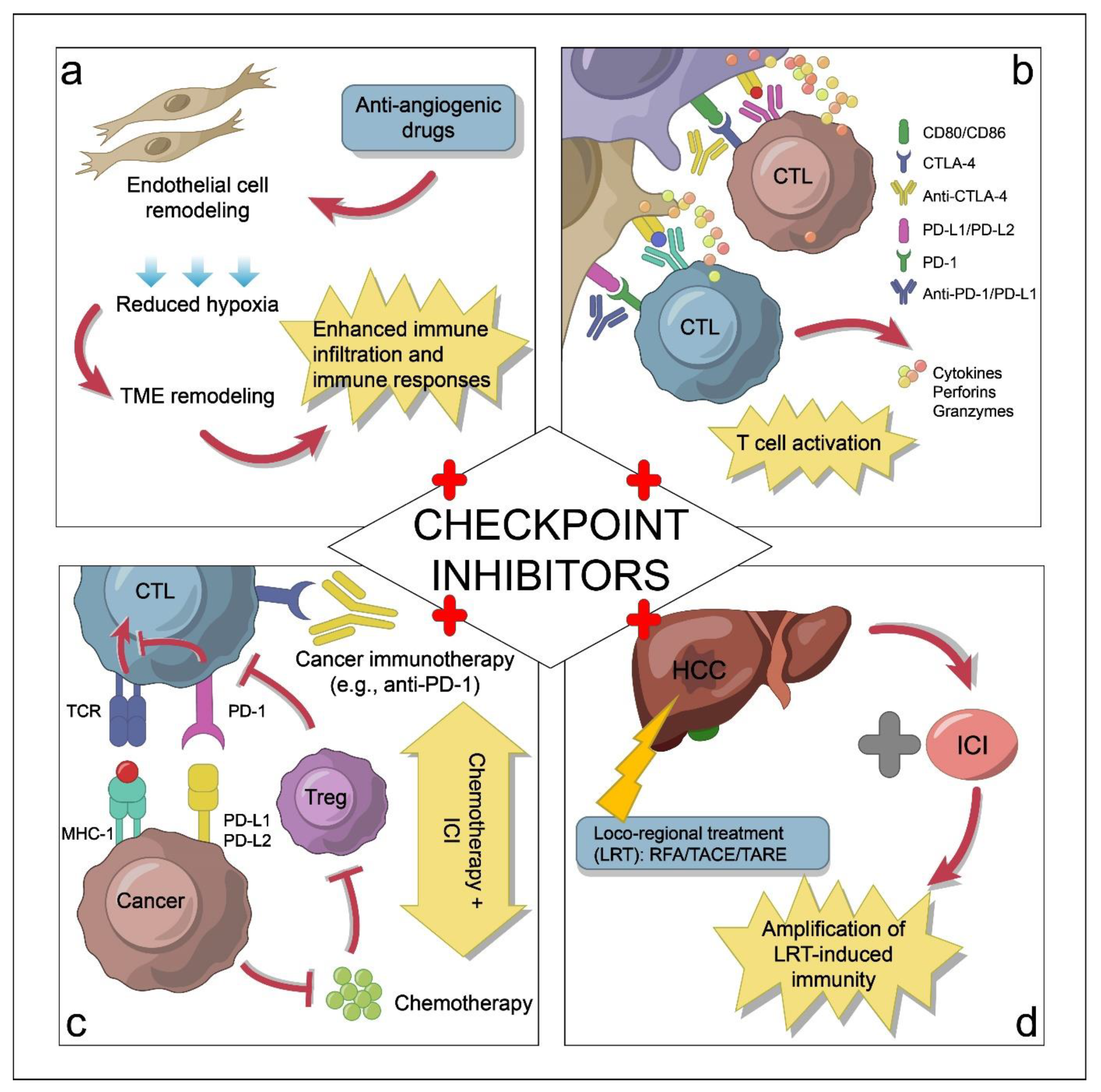 Cancers 14 05013 g002