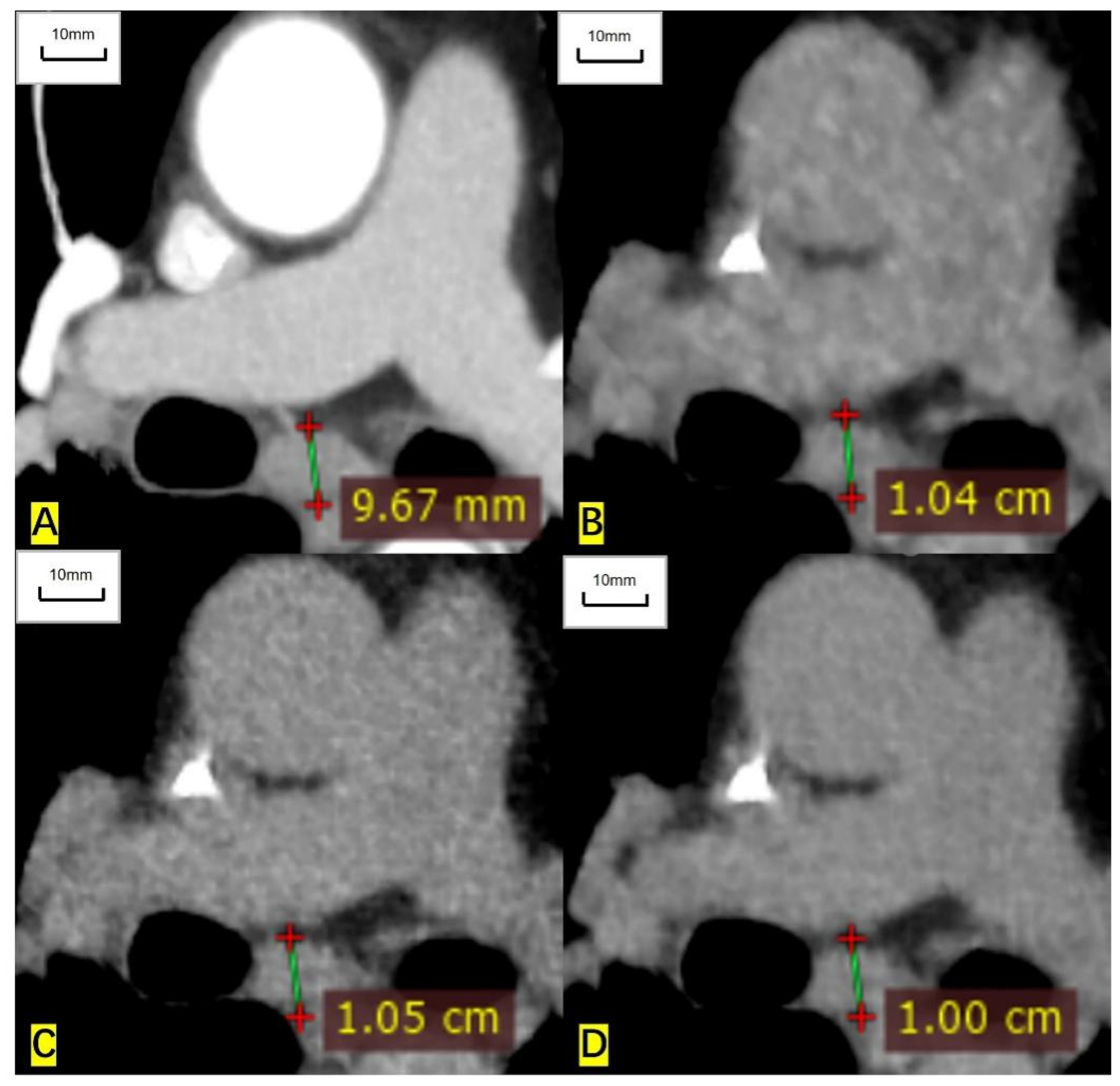 Cancers 14 05016 g005