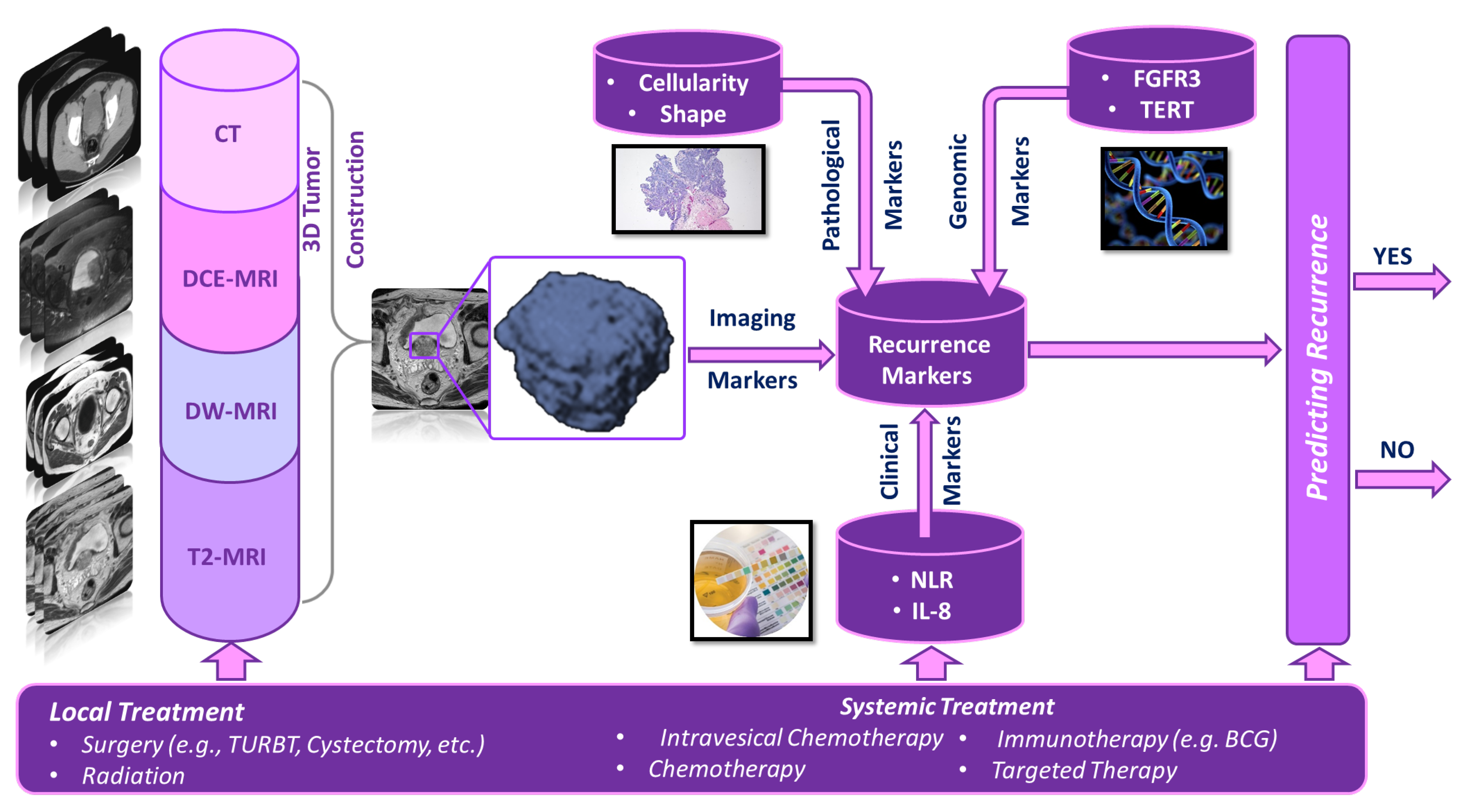 Cancers 14 05019 g001