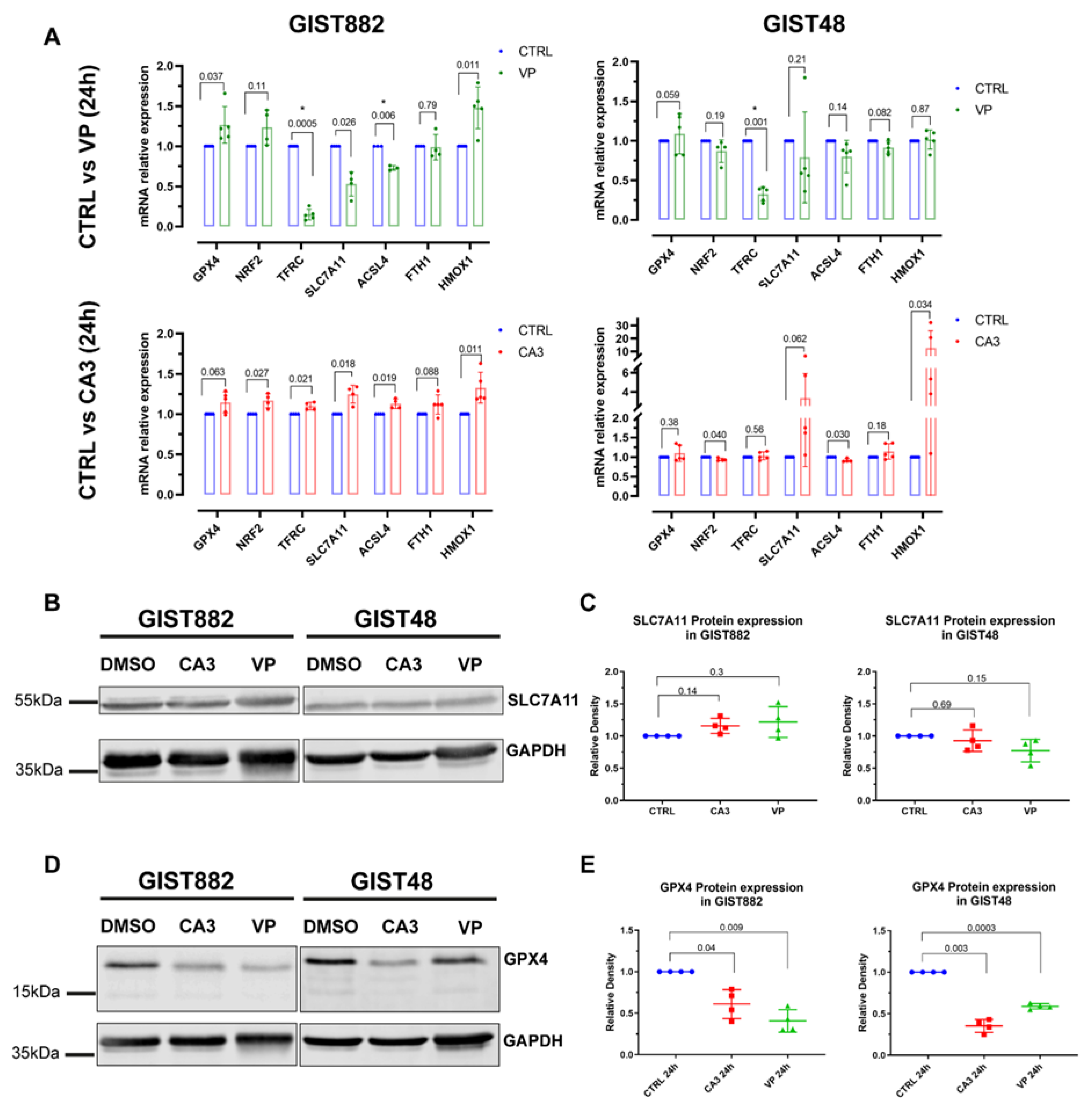 Cancers 14 05050 g007