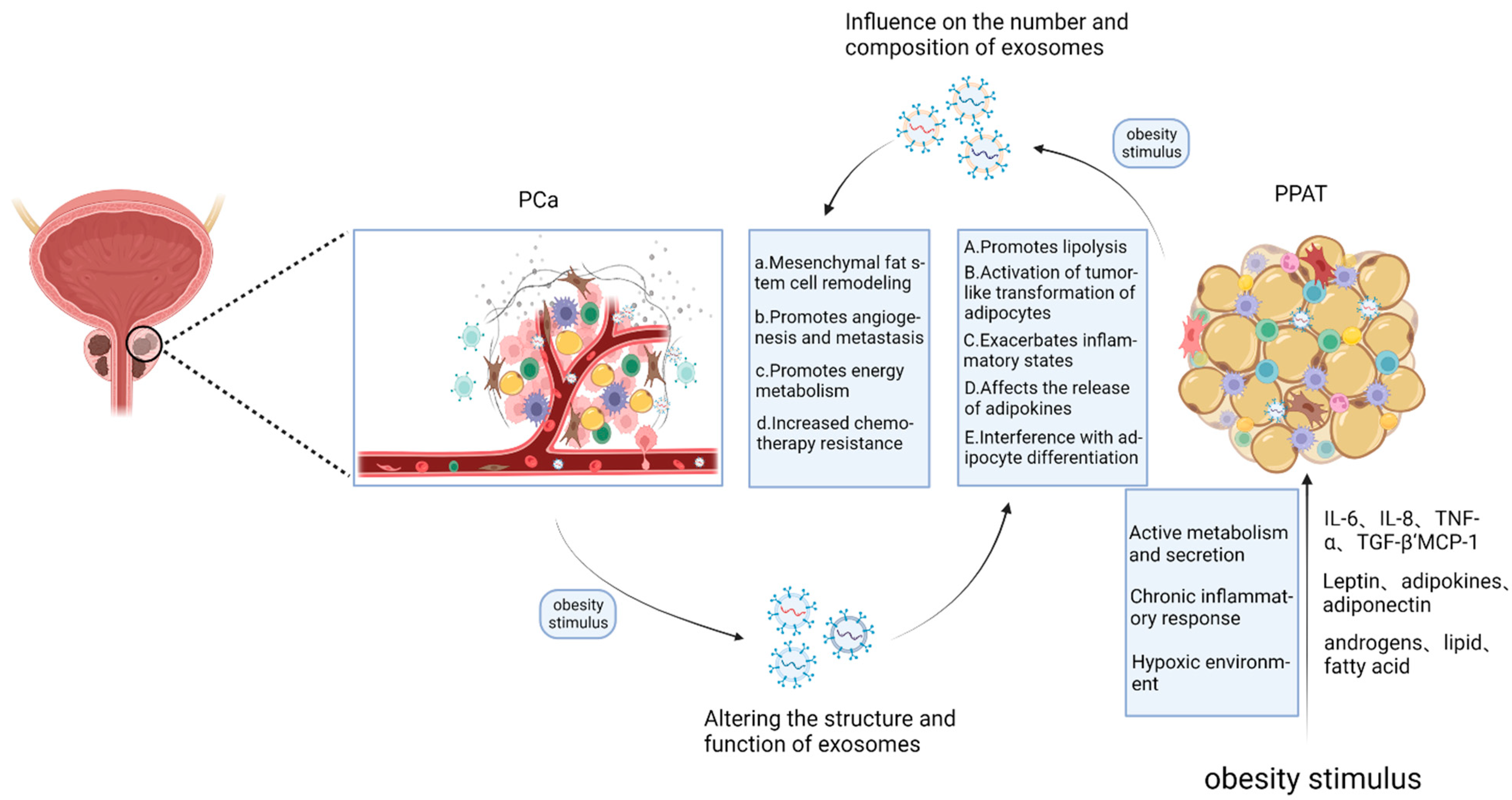 Cancers 14 05077 g002