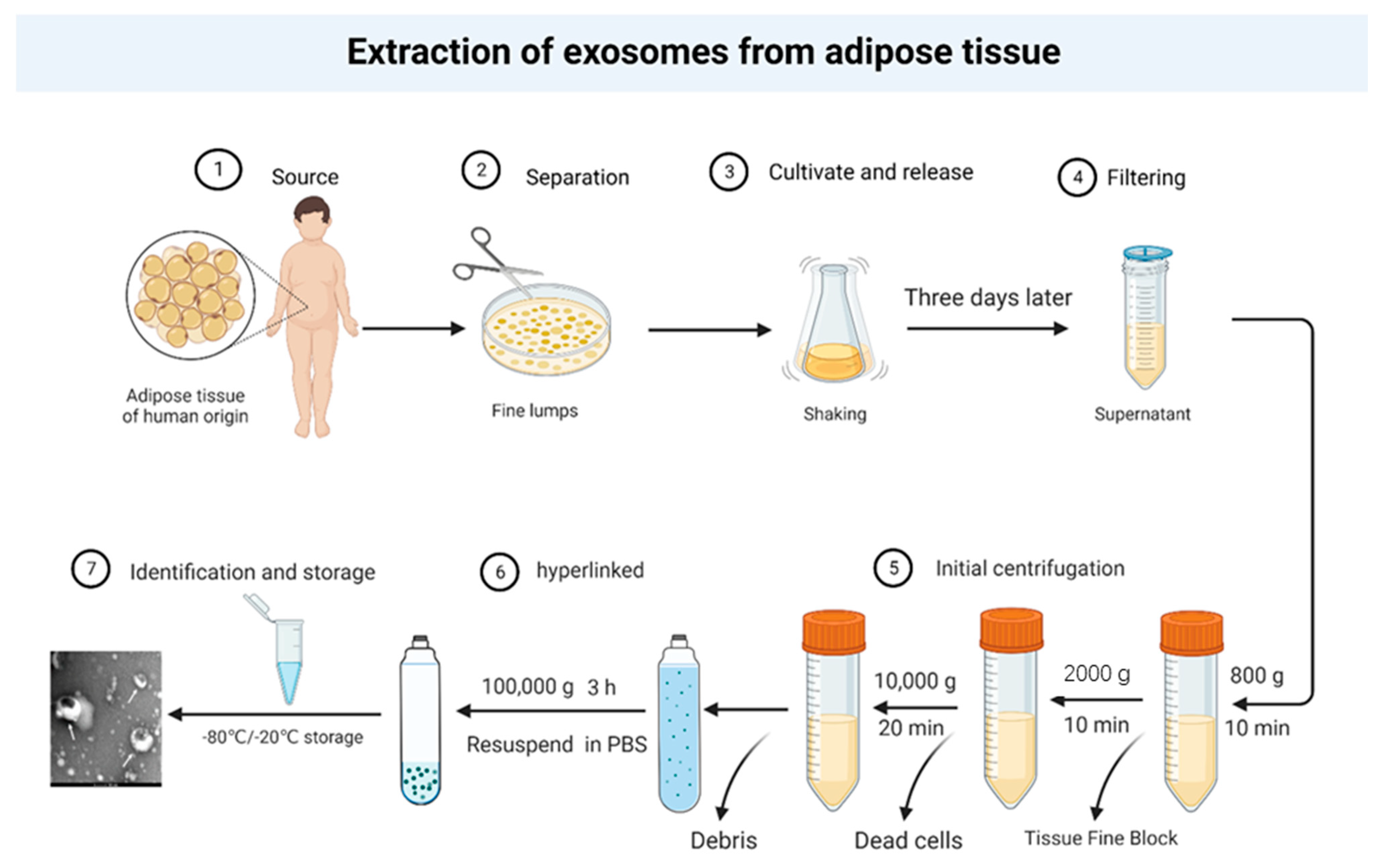 Cancers 14 05077 g003