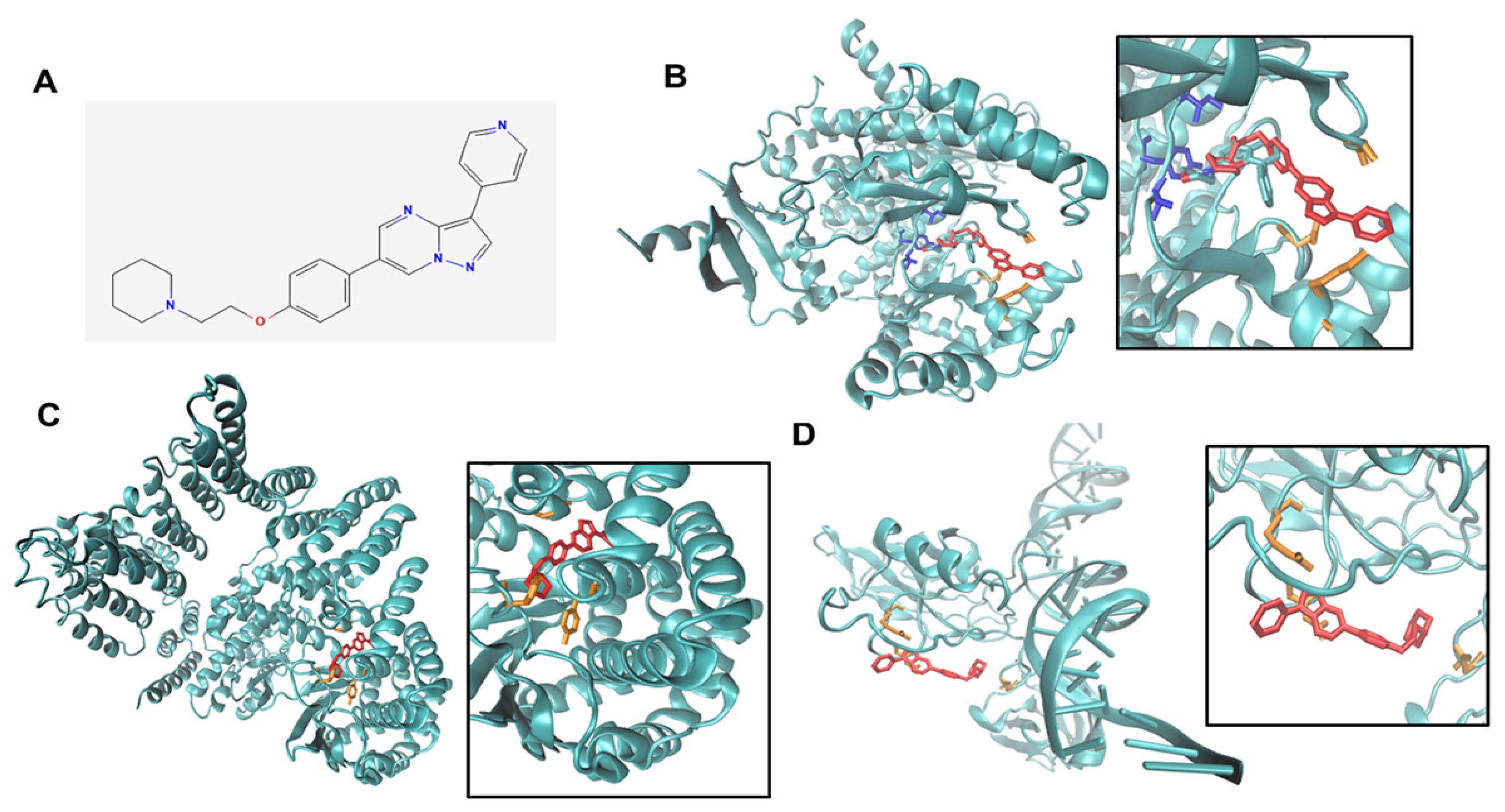 Cancers 14 05099 g005