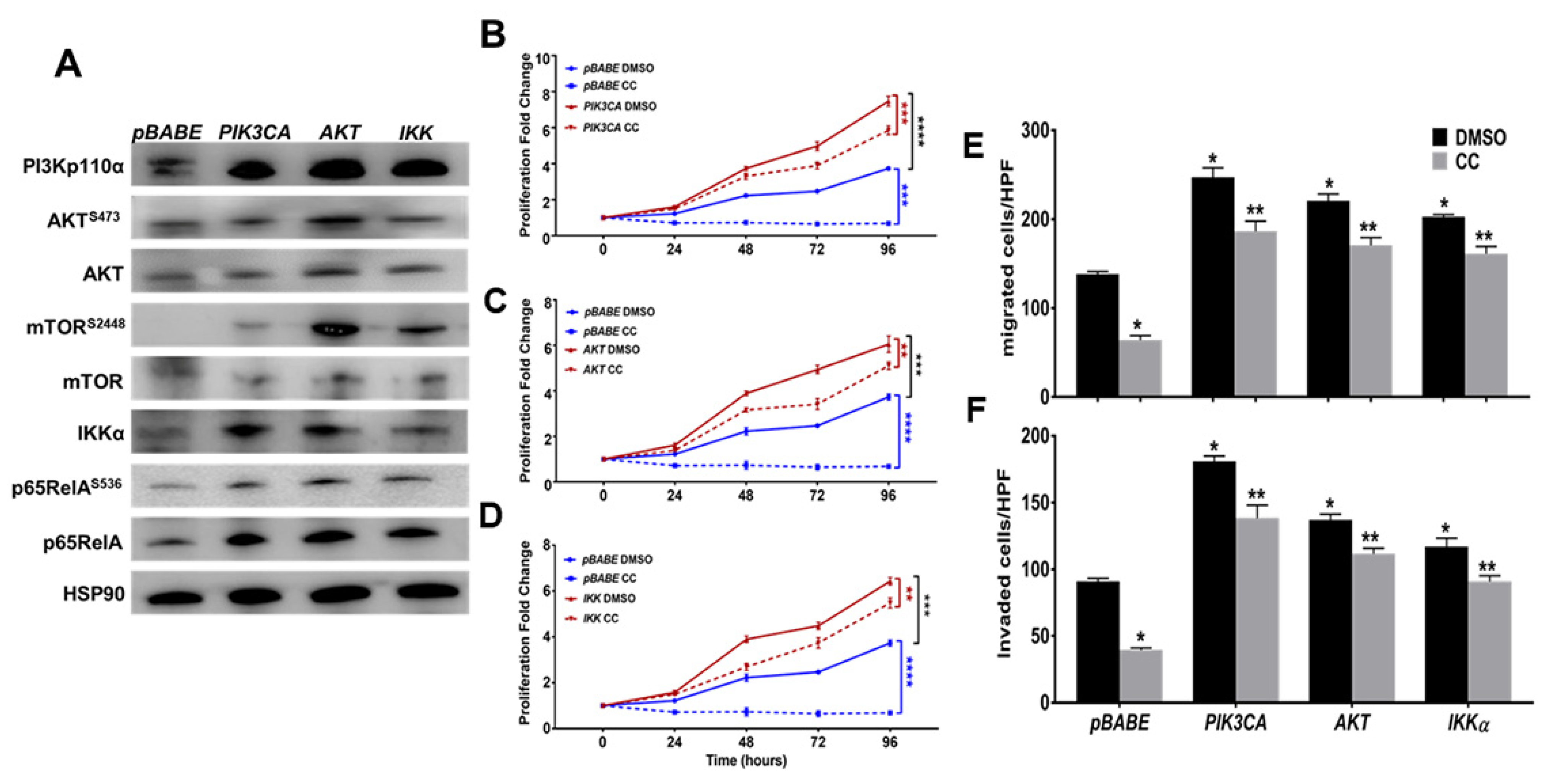 Cancers 14 05099 g006