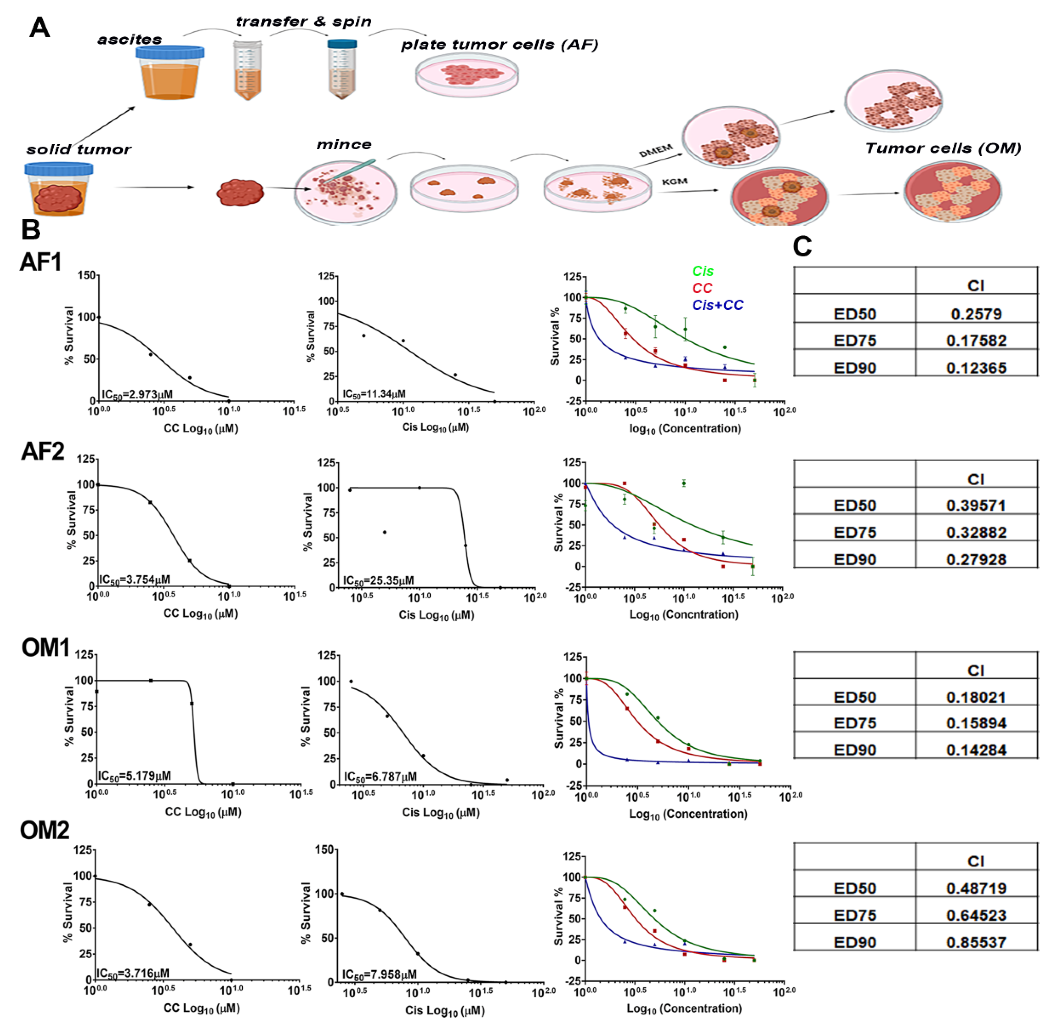 Cancers 14 05099 g012