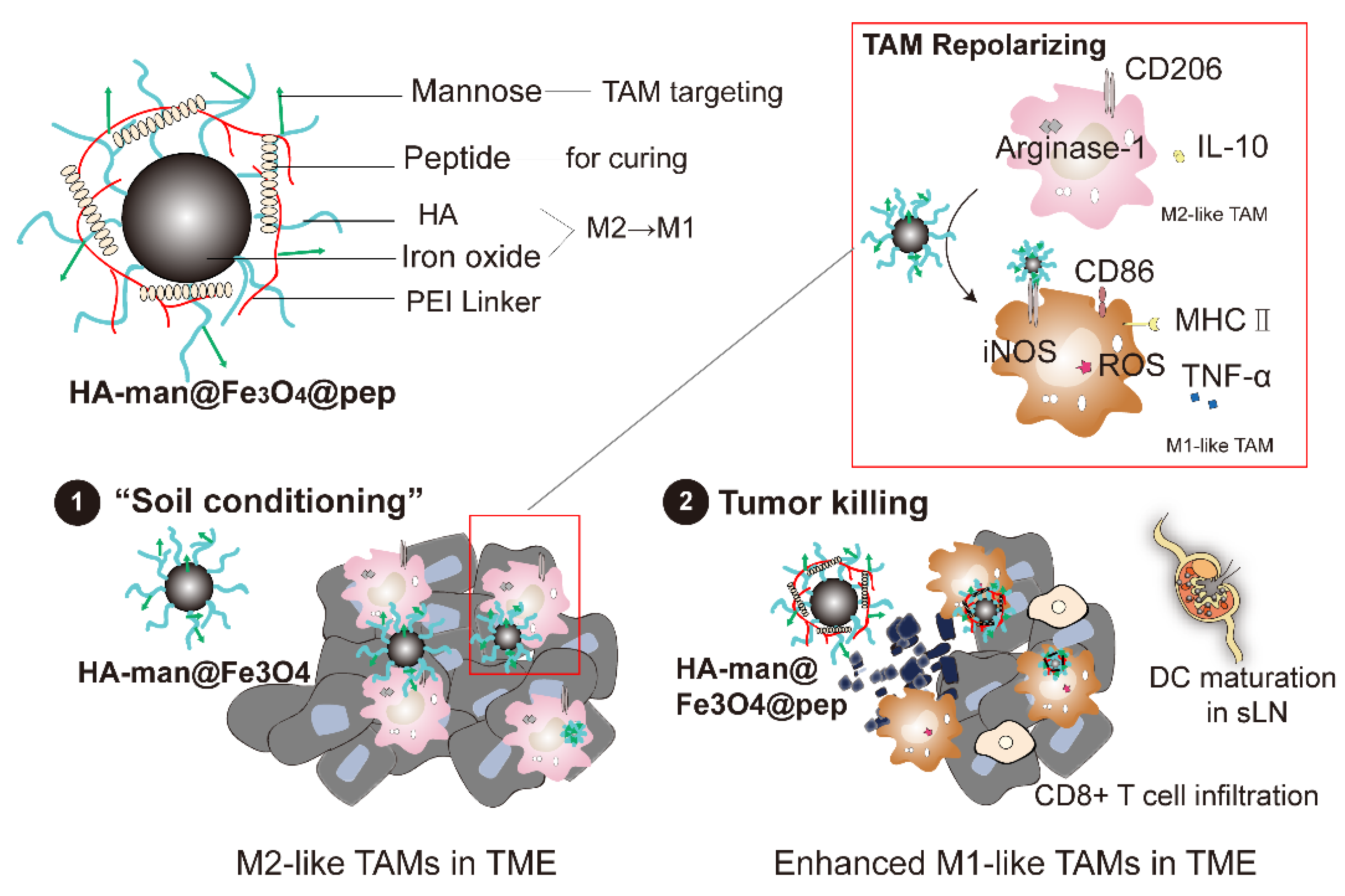 Cancers 14 05107 sch001